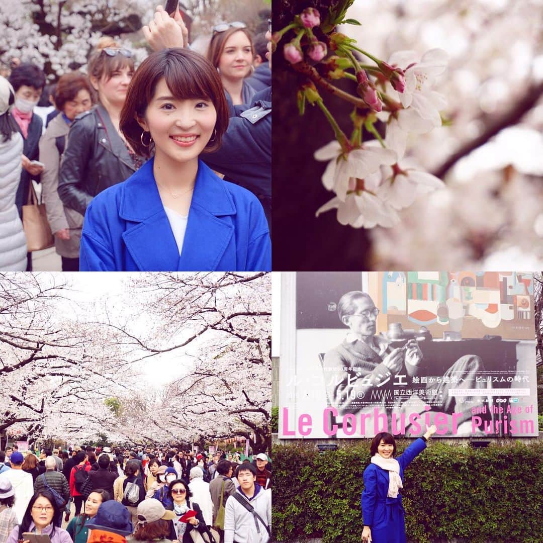 のインスタグラム：「#桜 と #ルコルビジェ 堪能。春休みと都内の桜の満開があいまって、どこもすごい人だかり。今年はいろんなところで桜を観られて幸せだなぁ💕 . ル・コルビジェ展では、絵画、建築、インテリアなど様々な展示がありました。「近代都市の５つの原則」のなかにもある屋上庭園やガラス張りの窓など、現在に根付いた建築様式は幾何学と自然の融合が生んだ現代的デザインだと感じられるものでした。 . #東京 #上野 #上野公園 #国立西洋美術館 #桜満開 #cherryblossom #lecorbusier #modern #art #architecture」