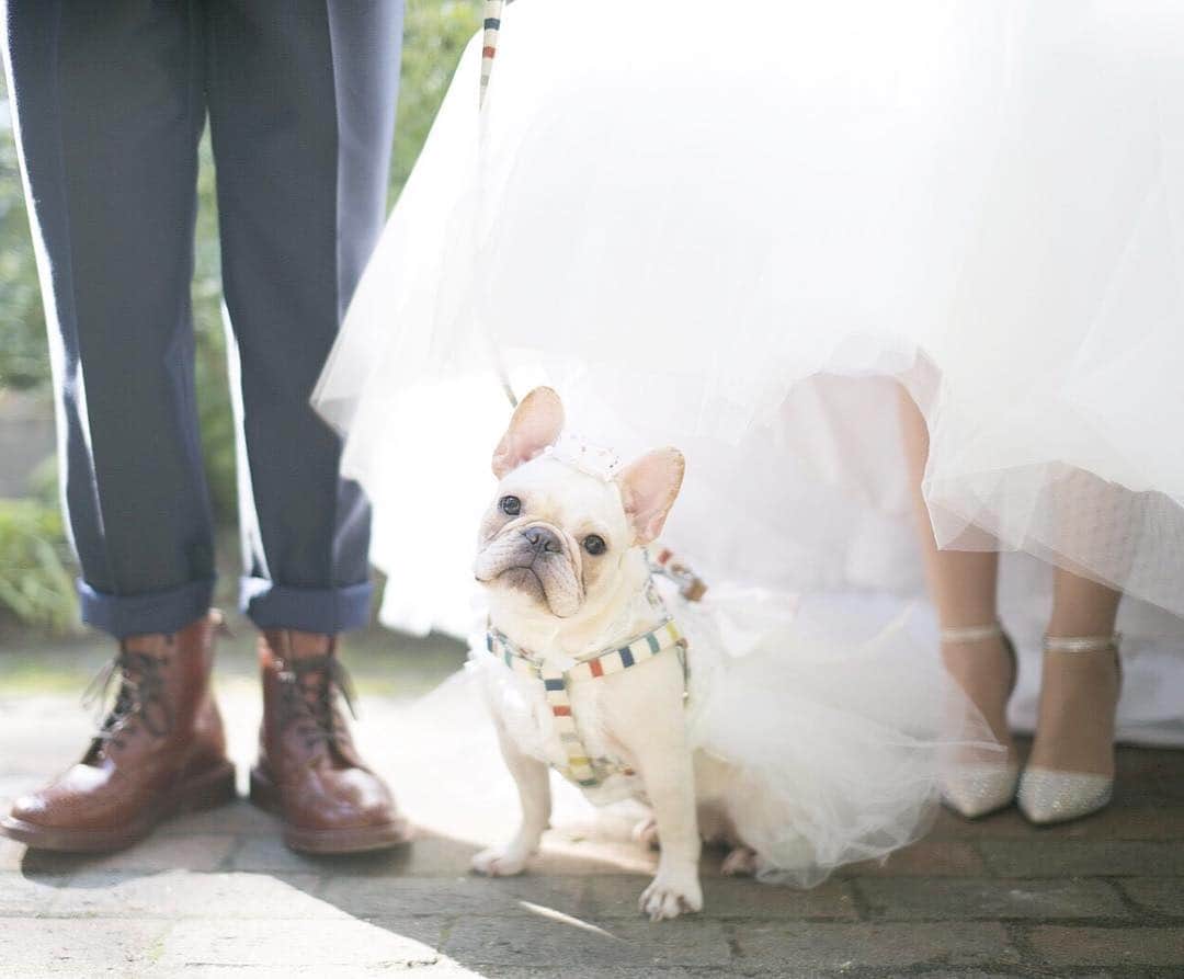 ガーデンテラス宮崎ホテル＆リゾートのグルメインスタ