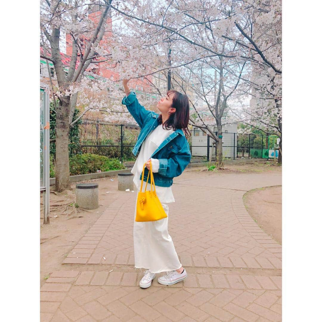 菊井彰子さんのインスタグラム写真 - (菊井彰子Instagram)「まだまだ寒いけど春だね🌸 #cherryblossom  #さくら」3月28日 17時54分 - yanakiku_kiku