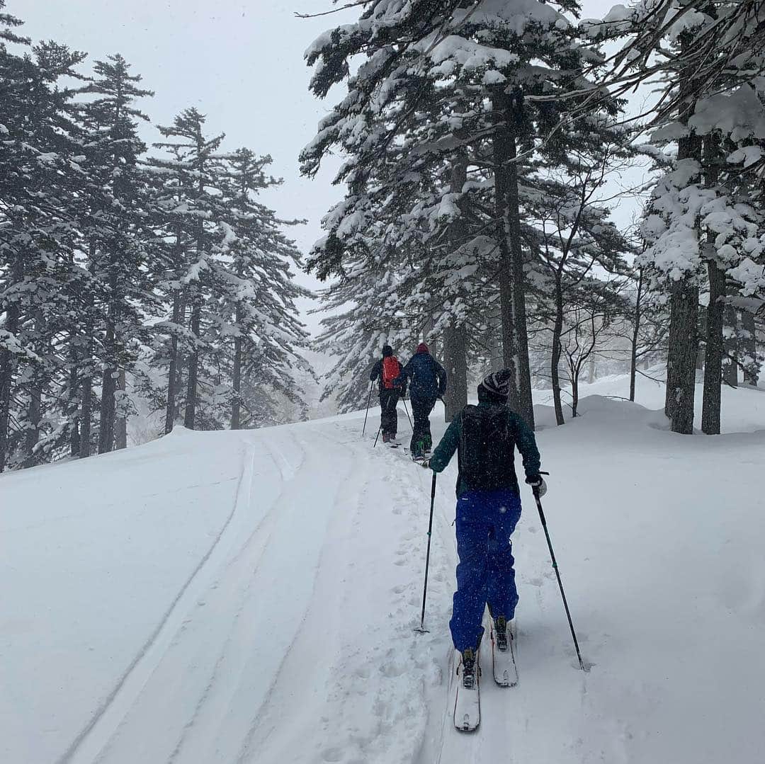 伊藤みきさんのインスタグラム写真 - (伊藤みきInstagram)「Backcountry ski day in Furano!!🏔Thanks @wtbakt @yurie_watabe 🙏🙏 人生初のバックカントリーに、連れてってもらいました〜🏔 最高に楽しかった〜⛷ かなり吹雪のパートもあり、だけど、美味しいお昼も山の上で食べれました😍 感謝感謝の日🙏 スキーの楽しみ方は無限大で、 改めて両親にスキーやらせてもらえて良かったなぁ、と思いました。 そしてそして、初心者な私たち夫婦を連れてってくれた渡部夫婦🙇‍♀️🙇‍♂️ 全てが楽しい時間だった、一泊二日の富良野バックカントリー旅。  まだ楽しかった余韻に浸ってます🥰」3月28日 9時07分 - itomikiitos