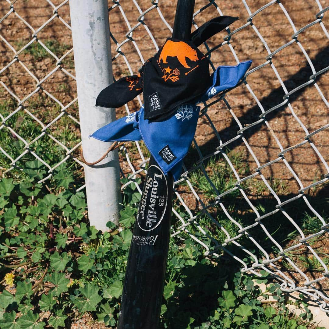 コリン・ハンクスさんのインスタグラム写真 - (コリン・ハンクスInstagram)「Opening Day of Baseball is tomorrow. I'm not gonna be able to make it this year, but I will definitely have my El Bear SF Kerchief on my person. Pick up either the SF or LA edition before they are gone. Might end up being your lucky Kerchief. #beready #hankskerchiefs #notabandana #purchaseakerchief」3月28日 10時19分 - colinhanks