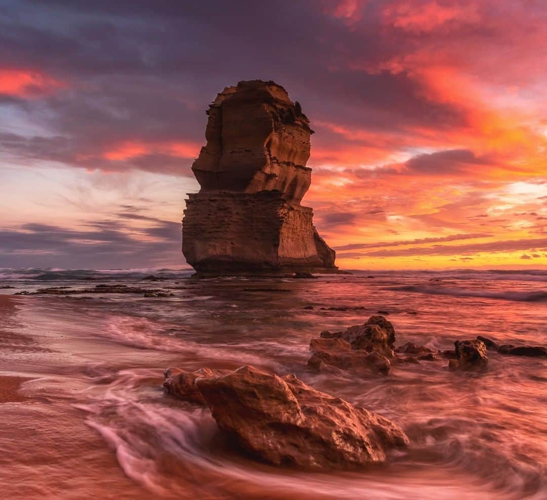 Nikon Australiaさんのインスタグラム写真 - (Nikon AustraliaInstagram)「"Gibson Burner. The Great Ocean Road (VIC) has been on my bucket list for quite some time. So I packed the car and finally decided to make the 11hr drive from Sydney. With 98% high cloud on the forecast for sunset my dream visit was looking promising. To this day it has to be the most intense colour  explosion I’ve seen with my own eyes and can definitely say it made the long drive worth every second." - @mattfinphotography  Camera: Nikon #D850 Lens: AF-S NIKKOR 24-70mm f/2.8G ED Settings: 24 mm | f/9 | 0.4s | ISO 400  #MyNikonLife #Nikon #NikonAustralia #NikonTop #VisitAustralia #DiscoverAustralia #Photography #LandscapePhotography #SunsetPhotography #GreatOceanRoad #DiscoverVictoria #VictoriaUncovered」3月28日 11時03分 - nikonaustralia