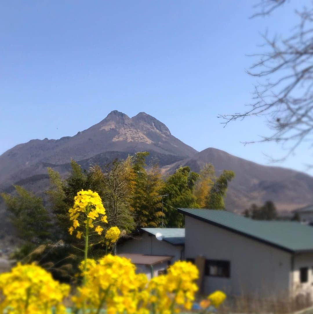 えれなさんのインスタグラム写真 - (えれなInstagram)「大分県に来ています🤗  由布岳一望の宿 美星（きらら）に宿泊✨  今回は離れの温泉つきのお部屋に♨️✨ 由布岳が一望できます😆⛰✨ 由布岳は、『古事記』や『豊後風土記』にも登場するなど。 古くから、神の山と言われいるんだそうです⛰✨ 朝食も、搾りたての野菜ジュースからスタート🍹✨ 素敵すぎる❤️❤️ #大分 #湯布院 #由布岳 #由布岳一望の宿 #美星  #きらら #美肌の湯 #源泉掛け流し #パワースポット #えれな #⛰#♨️#✨」3月28日 11時50分 - elena1982312