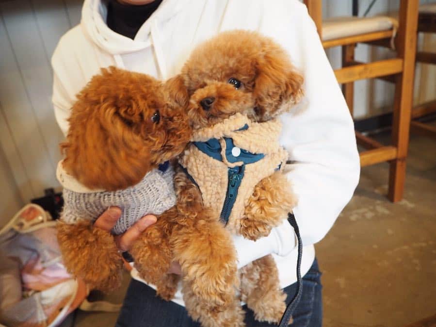 maruku. café のグルメインスタ