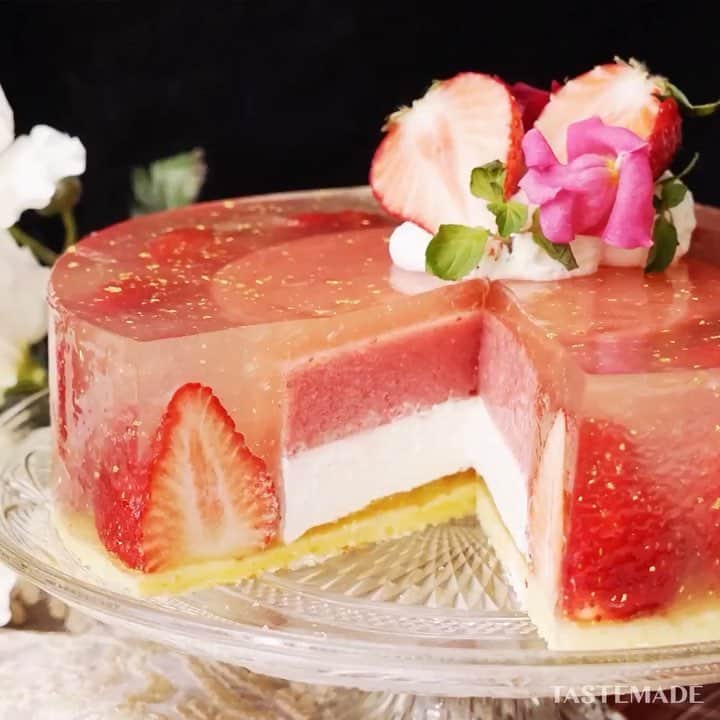のインスタグラム：「【ぷるんとつややか✨】贅沢いちごのゼリーケーキ🍓⠀⁣⠀ ⠀⁣⠀ スマホアプリはレシピを簡単に探せるよ📲⠀⁣⠀ ダウンロードはプロフィールのURLをクリック👆⠀⁣⠀ ⠀⁣⠀ ■材料⠀⁣⠀ ⠀⁣⠀ いちご　11粒⠀⁣⠀ スポンジケーキ　1枚⠀⁣⠀ ⠀⁣⠀ 《いちごピューレゼリー》⠀⁣⠀ いちご　150g⠀⁣⠀ グラニュー糖　20g⠀⁣⠀ 粉ゼラチン　5g⠀⁣⠀ 水　大さじ1⠀⁣⠀ ⠀⁣⠀ 《レモンゼリー》⠀⁣⠀ 水　400ml⠀⁣⠀ レモン汁　80ml⠀⁣⠀ グラニュー糖　40g⠀⁣⠀ はちみつ　40g⠀⁣⠀ 板ゼラチン　15g⠀⁣⠀ 金箔　適量⠀⁣⠀ ⠀⁣⠀ 《生クリーム》⠀⁣⠀ 生クリーム　100ml⠀⁣⠀ グラニュー糖　10g⠀⁣⠀ キルシュ　10ml⠀⁣⠀ ⠀⁣⠀ ■手順⠀⁣⠀ ⠀⁣⠀ 1. 生クリームはグラニュー糖とキルシュを加えて、8分立てに泡立てる⠀⁣⠀ 2. いちごは軽く洗って、ヘタを取る⠀⁣⠀ 3. 板ゼラチンは氷水につけてふやかしておく⠀⁣⠀ 4. 粉ゼラチンは水に振りかけて、使用する間際に電子レンジで溶けるまで加熱する。⠀⁣⠀ 5. 18cmのケーキ型にスポンジシートを敷き、イチゴを縁の内側に並べる。⠀⁣⠀ 6. ミキサーにイチゴピューレゼリーの材料を加えて、攪拌する。⁣⠀ 7. 10cmのセルクルに流し入れて一度冷やし固める。ゼリーが固まったら、上から生クリームを絞り、冷凍庫で凍るまで冷やす。⁣⠀ 8. 鍋に水と砂糖を加えて60度くらいに温めたら板ゼラチンを加えて溶かし混ぜる。レモン汁と蜂蜜を加えて、氷水でとろみがつくまで混ぜながら冷やす。⠀⁣⠀ 9. 冷やした液をイチゴを入れたスポンジケーキの型に1/3流し入れ、型から外した7を中央にのせ、さらにレモンゼリー液を流し入れる。⠀⁣⠀ 10. 固まるまで冷蔵庫で冷やし、固まったら型から取り出す。⠀⁣⠀ ⠀⁣⠀ #food #foodie #cooking #recipe#tastemade #japan #japanese #japanesefood #sweets #dessert #strawberry #jelly #cake⠀⁣⠀ ⠀⁣⠀ #料理 #クッキング #レシピ #おうちご飯 #おうちごはん #おうちカフェ #スイーツ #デザート #おやつ #お菓子作り #いちご #ゼリー #ケーキ」
