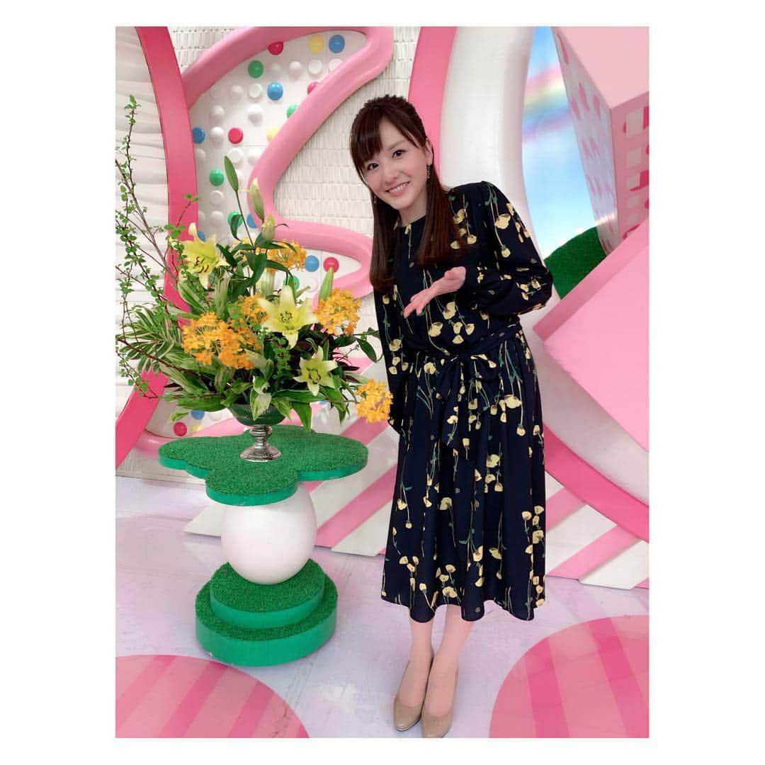 小菅晴香さんのインスタグラム写真 - (小菅晴香Instagram)「・ 今週のOha!4スタジオのお花は 春らしい黄色でぽかぽかな雰囲気🌼 ・ 衣装も黄色いお花が多くあしらわれていて 春らしさ満載です🌿 ・ ・ ・ ・ 👗 @nostalgia_jp #ノスタルジア ・ ・ ・ ・ #oha4newslive #oha4 #おはよん #衣装 #fashion #小原流 #小原流いけばな #小菅晴香 #フリーアナウンサー #セントフォース」3月28日 11時56分 - haruka.kosuge