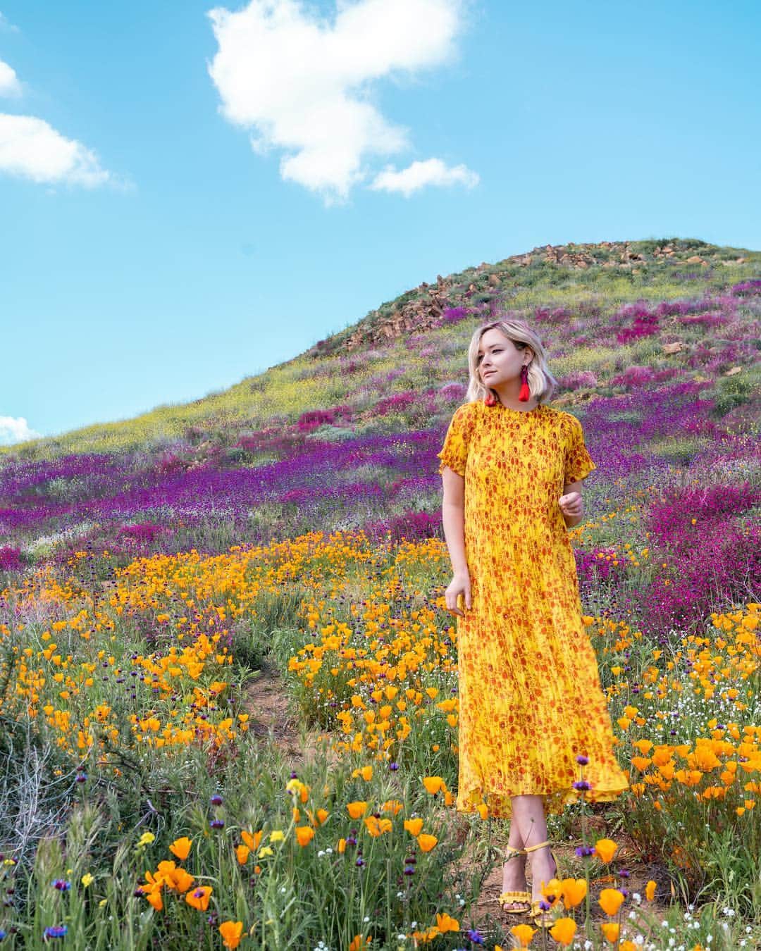 のインスタグラム：「No flowers were harmed in the making of this photo. Instead of shaming people for taking photos with nature, let’s have an open discussion about how to preserve the natural beauty of our world while simultaneously allowing people to enjoy its splendor. I don’t know what the right path or solution is. I do my best to be respectful and I feel that those of you who have followed me for any amount of time know how deeply I love our natural world and that I do my best to be as respectful as I can be. What are your thoughts on this superbloom issue? How much responsibility does an “influencer” bare when it comes to the actions of their “followers”? Should I never again take flower pics on a freeway on-ramp because it may inspire others to do the same? Where do we draw the line?」