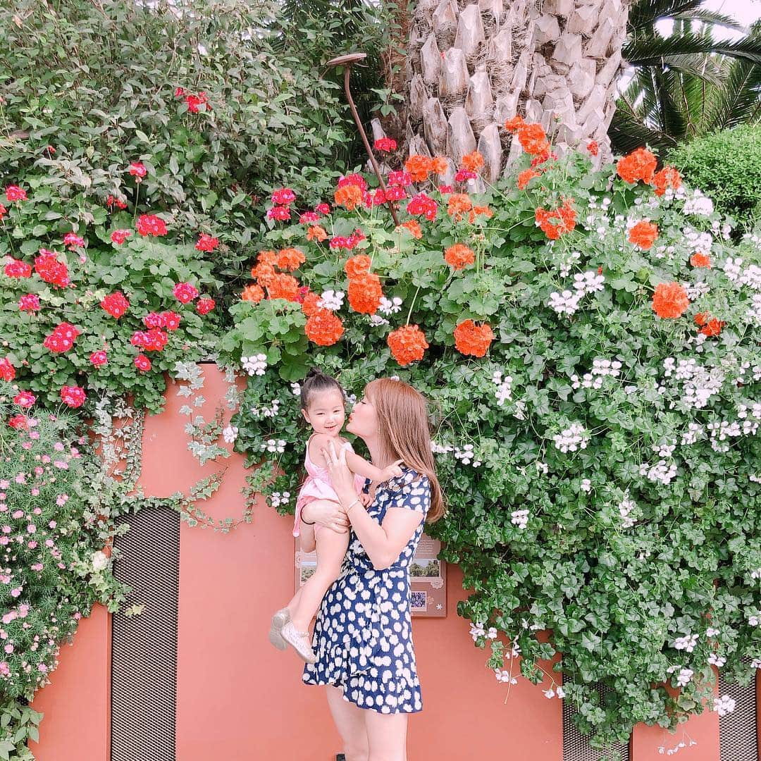 小林明実さんのインスタグラム写真 - (小林明実Instagram)「他のお花も綺麗だった🌼✨ * * #singapore」3月28日 12時05分 - akemi.1177