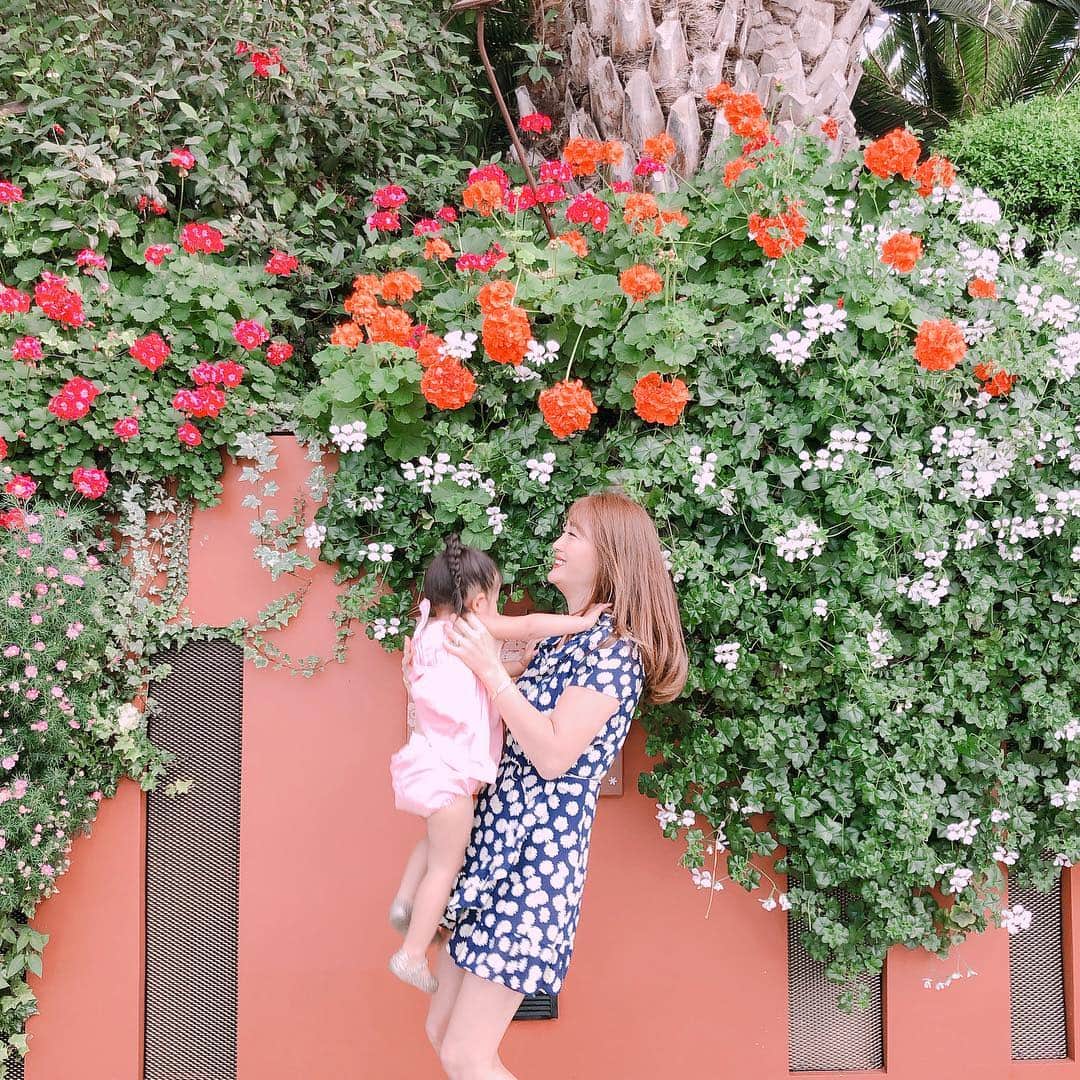 小林明実さんのインスタグラム写真 - (小林明実Instagram)「他のお花も綺麗だった🌼✨ * * #singapore」3月28日 12時05分 - akemi.1177