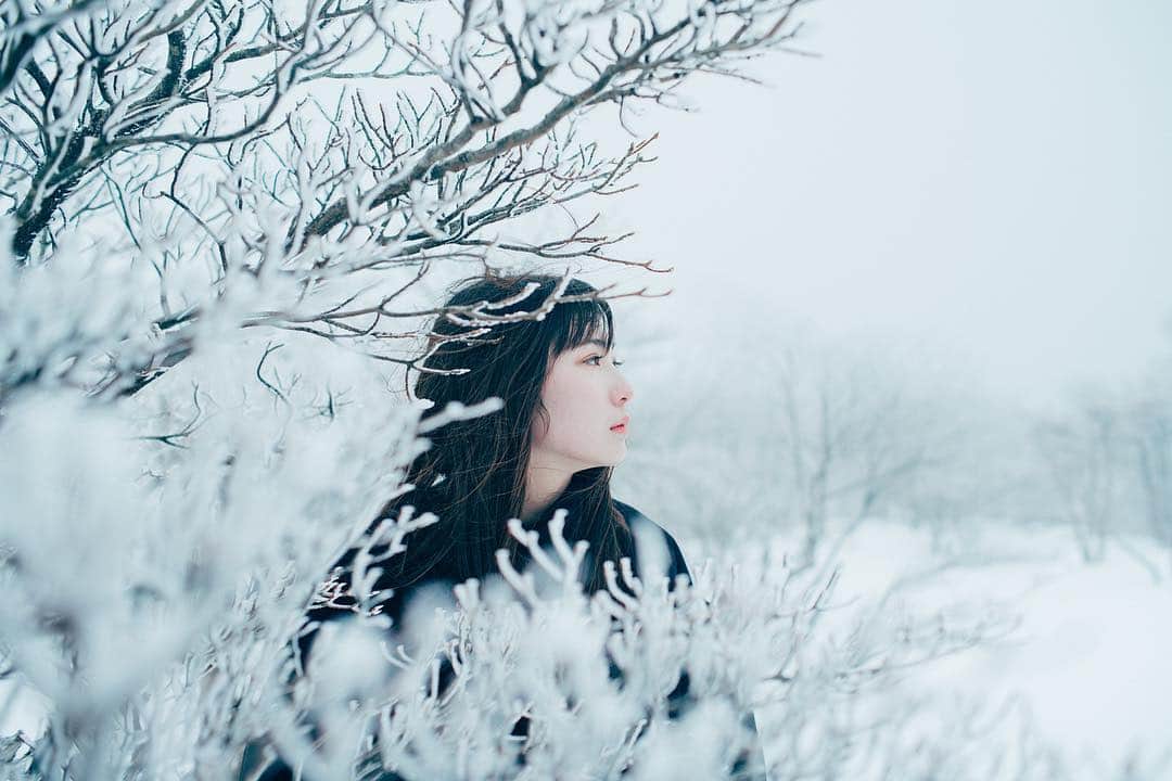 のインスタグラム：「Re . . . 大阪も昨日一日で急に桜が咲き始めました🌸」