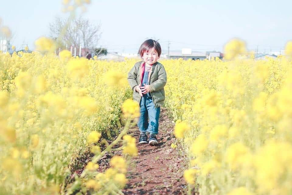 のインスタグラム：「こんにちは😊 現在、「春」をテーマにお写真・動画を募集中です✨ 本日の #タビスルキッズ はこちら💕 📷 @7tanさん 🚩埼玉県・八潮市「中川やしおフラワーパーク」 🎙ご本人コメント 💐 * 八潮の菜の花畑🥰 桃はまだ咲いてなくて残念だったけど とってもきれいだった☺️💕 ＊＊＊＊＊＊ こちらは「四季折々の風景」が楽しめて 春は桃の花も咲くんですね✨ かわいいお写真ありがとうございます💕」