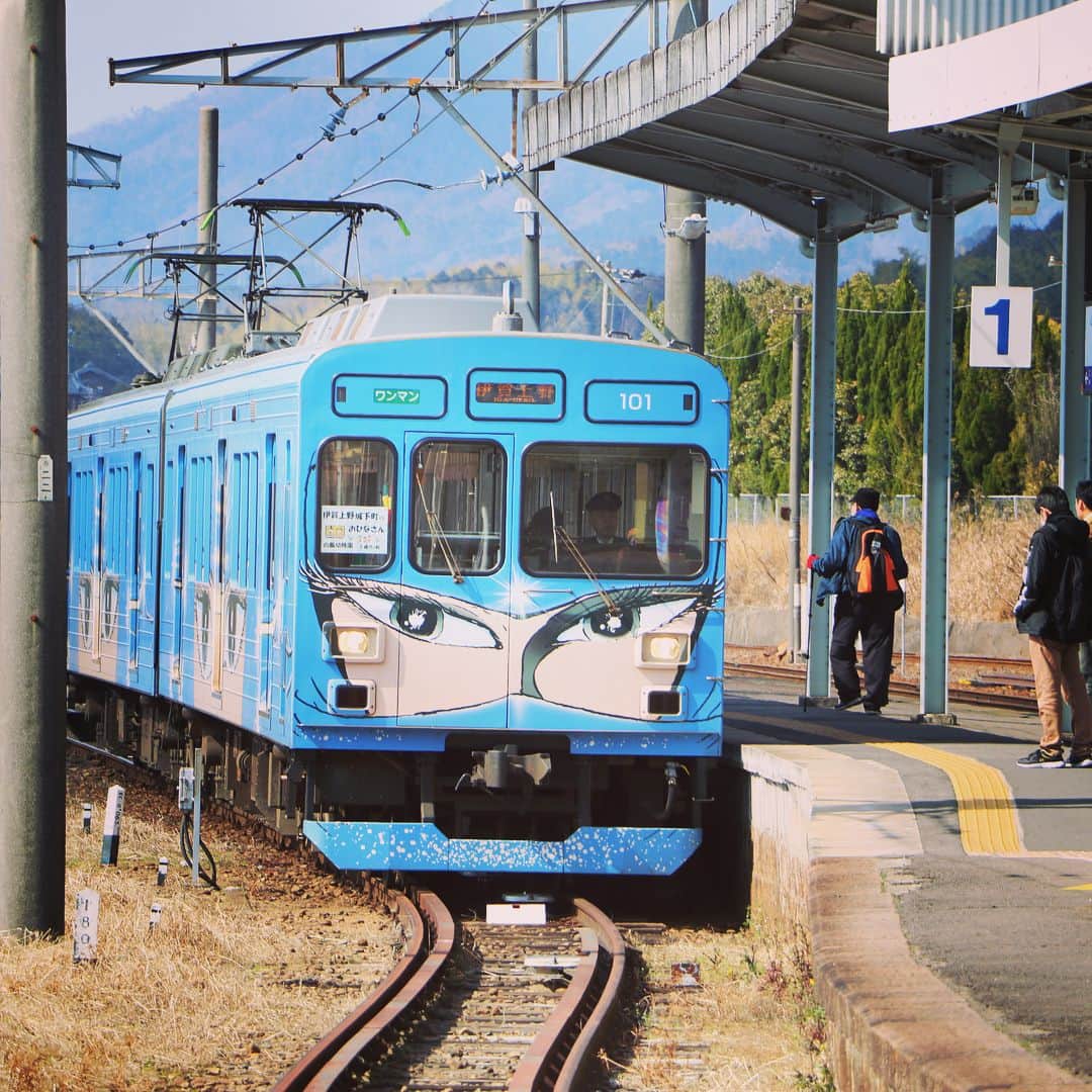 テレビ大阪「おとな旅あるき旅」さんのインスタグラム写真 - (テレビ大阪「おとな旅あるき旅」Instagram)「今週のおとな旅あるき旅（テレビ大阪）は、伊賀上野でローカル線 途中下車の旅です。  ユニークな列車に揺られ、忍者ゆかりの地で美味と銘酒、そして旬の果実を堪能します！忍者一族の末裔、実香ちゃん 大活躍⁈ お楽しみに！  3/30(土)18:30〜  #おとな旅あるき旅#テレビ大阪#三田村邦彦#山口実香#三重#伊賀上野#伊賀上野城#伊賀流忍者博物館#忍者列車#伊賀牛#いちご狩り#かおりの#伊勢志摩サミット乾杯酒」3月28日 12時41分 - tvo.otonatabi