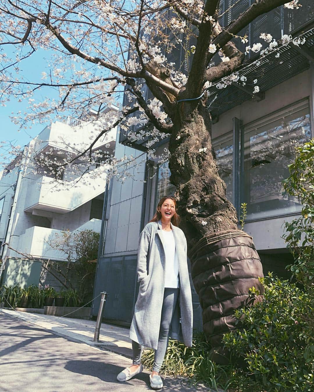 季葉のインスタグラム