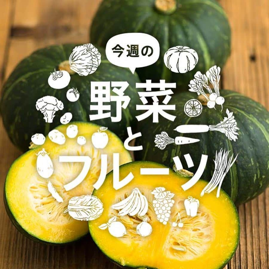 オイシックスさんのインスタグラム写真 - (オイシックスInstagram)「旬の野菜とフルーツ(*´―`*)﻿ ⠀﻿ 今週はOisixの名物野菜の1つ#かぼっコリー が入荷しました！﻿ 一見、普通のかぼちゃですが、﻿ 包丁でサクサク切れるほどやわらかで﻿ 生で食べることができます♪﻿ ⠀﻿ #かぼっコリー はコリっコリっという小気味の良い独特の食感から名づけられており、﻿ かぼちゃとブロッコリーの掛け合わせではありません！﻿ ﻿ 味はみずみずみしいきゅうりのようでいて、ほんのりとかぼちゃの甘みも感じられます。﻿ きゅうりと置き換えて使用するのがおすすめです♪﻿ ﻿ 中でもポテトサラダにいれると彩りがよくて映える一皿に！﻿ ⠀﻿ ＼今週のラインナップはこちら♪／﻿ ⠀﻿ * 種も皮も丸ごと食べられる！﻿ 『かぼっコリー』(沖縄県産)﻿ ⠀﻿ * 今週限りで販売終了！赤城おろしで甘さがギュッ﻿ 『冬くぐりキャベツ』(群馬県産)﻿ ⠀﻿ * 春を告げる優しい味わい﻿ 『白菜なばな』(群馬県産)﻿ ⠀﻿ * 年に一度の肉厚ジューシー﻿ 『春の一番刈りニラ』(群馬県産 )﻿ ⠀﻿ * 驚くほどみずみずしく澄み切った甘さ♪﻿ 『島アスパラ』(長崎県産)﻿ ⠀﻿ * 大人気！！食感も味わいもまるで桃﻿ 『ピーチかぶ』(千葉県産)﻿ ⠀﻿ * 甘さが増すまでじーっと眠らせた﻿ 『甘熟じゃがいも』（北海道産)﻿ ⠀﻿ * レモンスカッシュのような爽やかな甘み﻿ 『黄金柑』(神奈川県産)﻿ ⠀﻿ * お馴染みのブルーベリーより2倍近い大きさ！﻿ 『スーパーブルーベリー』(メキシコ産)﻿ ⠀﻿ * 圧倒的人気を誇る“樹なり完熟”パイナップル﻿ 『はちみつパイナップル』(台湾産) ﻿ ⠀﻿ ⠀﻿ 他﻿ ⠀﻿ ◎詳細は、@oisix のプロフィールURL下にあるストーリーハイライト【★旬野菜★】よりご確認くださいませ！⠀﻿ ⠀﻿ ※天候や出荷の関係で、売り切れの場合がございます。⠀﻿ ⠀﻿ ★毎週ほぼ木曜日更新★⠀﻿ #Oisixの旬野菜﻿ ……………………………………………………………⠀﻿ Oisixはじめての方へ⠀﻿ "Oisixの旬の野菜とフルーツたっぷり"とってもお得な🖤おためしセットがオススメ！！！⠀﻿ @oisix のプロフィールURLをチェック(*´V`*)⠀﻿ ……………………………………………………………⠀﻿ #Oisix #オイシックス #Oisixのある食卓#Oisixの旬レシピ #国産野菜 #野菜 #野菜が好き #野菜好きな人と繋がりたい #おうちごはん #おうちカフェ #お腹ぺこりん部#料理 #料理好きな人と繋がりたい #デリスタグラマー #クッキングラム #ベジスタグラム #photogenic #japanesefood#vegetable #vegetarian #fruits #eatathome#cooking #healthylifestyle #yummy#foodpic ﻿」3月28日 12時46分 - oisix