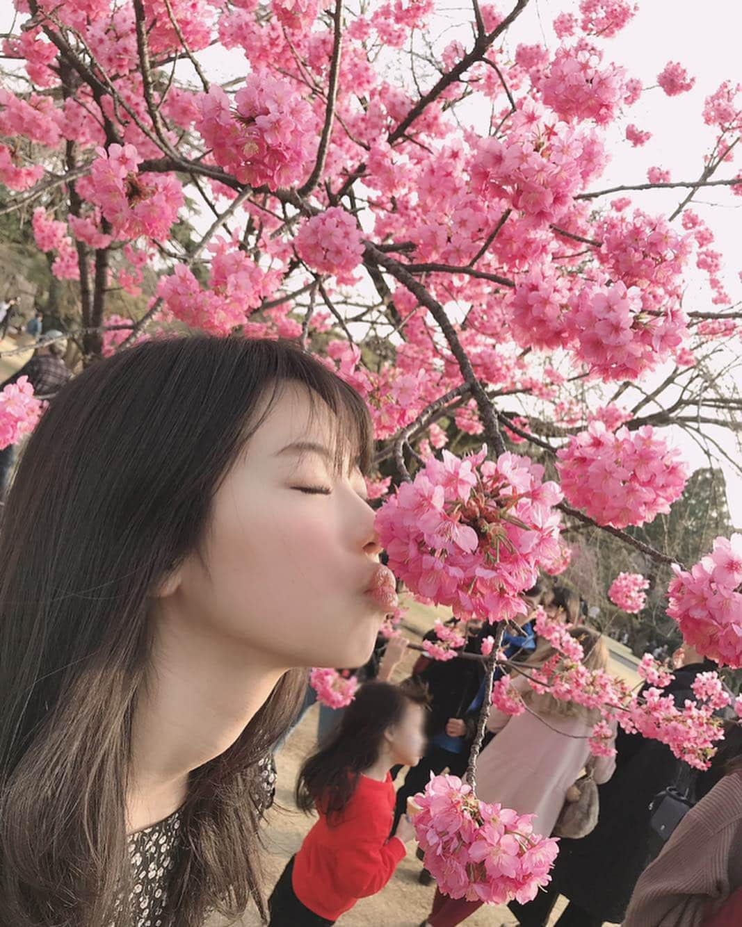 鈴木ふみ奈さんのインスタグラム写真 - (鈴木ふみ奈Instagram)「お花見したー？？🌸 #桜 #ここは #新宿御苑 #梅 #春 #好きだけど #花粉症 #辛い #笑 #どの季節 #が #好き？ #blossom #lips」3月28日 12時49分 - fuminasuzuki