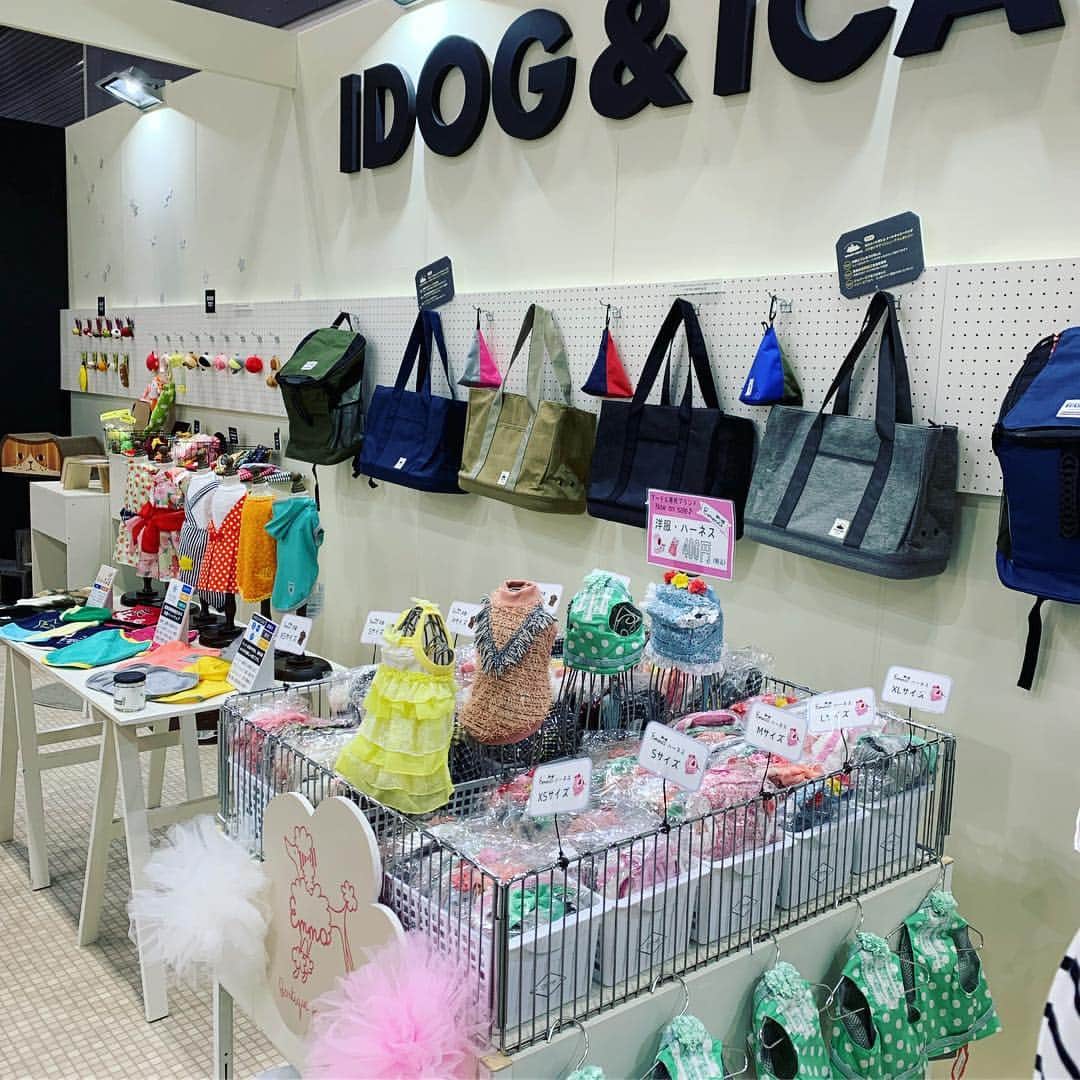 iDog&iCatさんのインスタグラム写真 - (iDog&iCatInstagram)「🎉 * 本日よりインターペット2019が開催中です！ IDOG&ICATのブースも盛り上がっております〜 ご来場の方は是非お立ち寄りくださいませ。 * #犬の服idog #idog #icat #idogicat #インターペット #インターペット2019」3月28日 12時50分 - idogicat