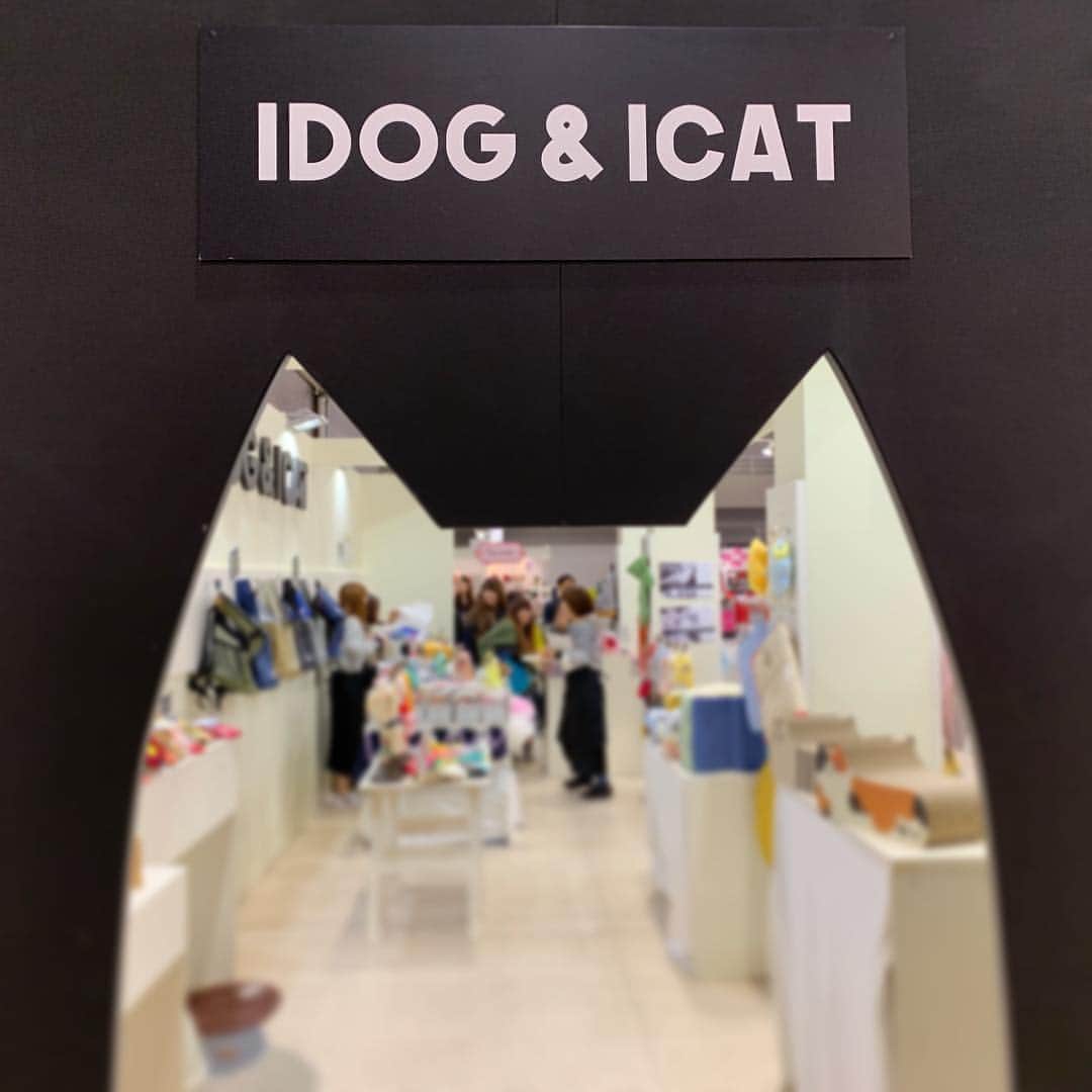 iDog&iCatさんのインスタグラム写真 - (iDog&iCatInstagram)「🎉 * 本日よりインターペット2019が開催中です！ IDOG&ICATのブースも盛り上がっております〜 ご来場の方は是非お立ち寄りくださいませ。 * #犬の服idog #idog #icat #idogicat #インターペット #インターペット2019」3月28日 12時50分 - idogicat