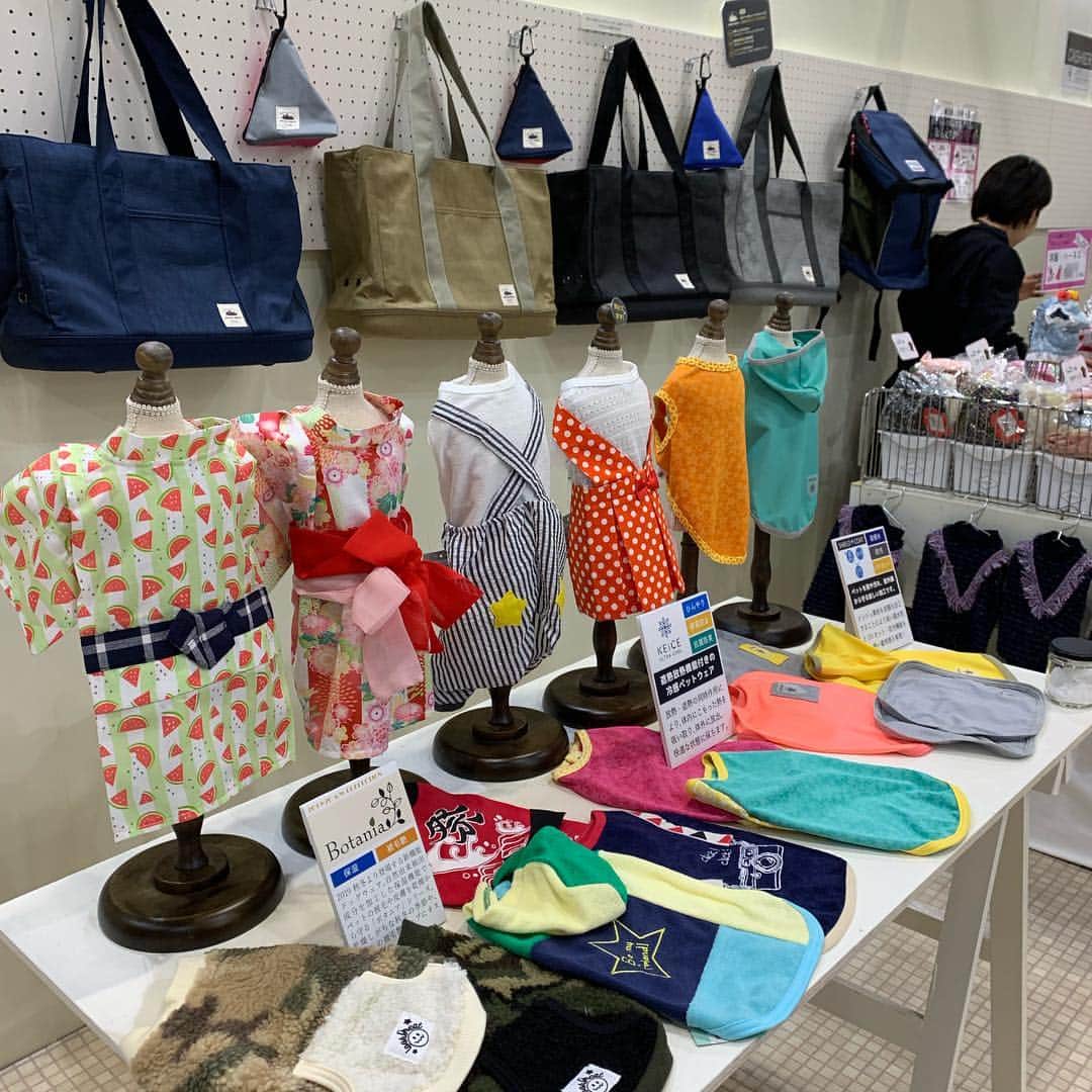 iDog&iCatさんのインスタグラム写真 - (iDog&iCatInstagram)「🎉 * 本日よりインターペット2019が開催中です！ IDOG&ICATのブースも盛り上がっております〜 ご来場の方は是非お立ち寄りくださいませ。 * #犬の服idog #idog #icat #idogicat #インターペット #インターペット2019」3月28日 12時50分 - idogicat