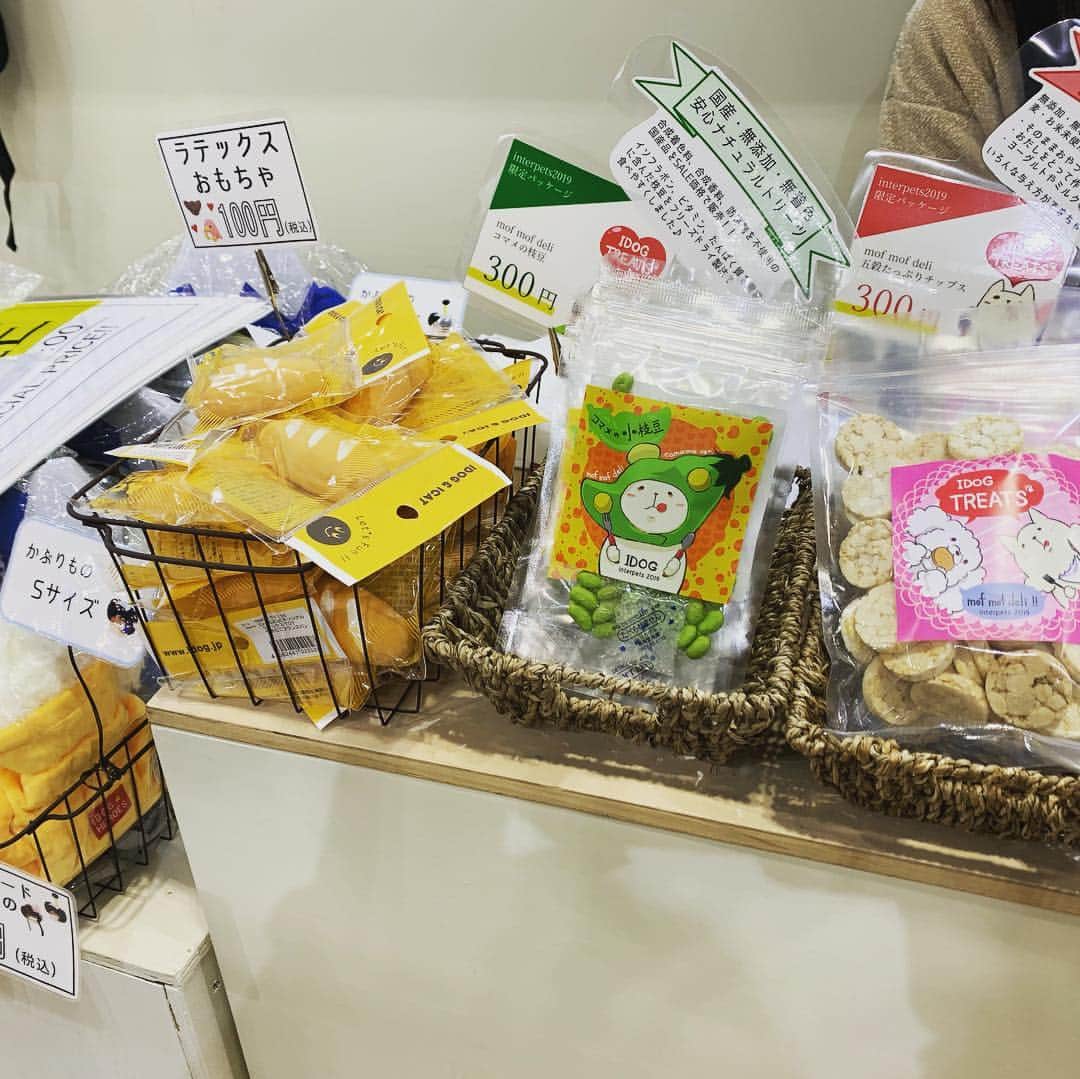 iDog&iCatさんのインスタグラム写真 - (iDog&iCatInstagram)「🎉 * 本日よりインターペット2019が開催中です！ IDOG&ICATのブースも盛り上がっております〜 ご来場の方は是非お立ち寄りくださいませ。 * #犬の服idog #idog #icat #idogicat #インターペット #インターペット2019」3月28日 12時50分 - idogicat