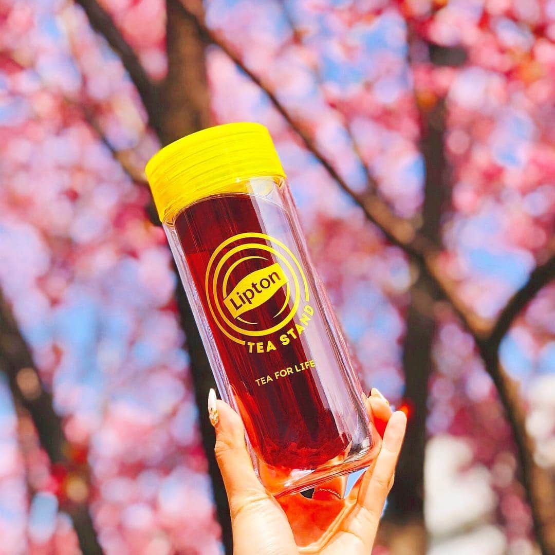 リプトンさんのインスタグラム写真 - (リプトンInstagram)「桜も咲き始め、もうすっかり春ですね🌸 それでもまだ少し肌寒いこの季節には、ホットの紅茶を持ち運べるリプトンのダブルウォールタンブラーがおすすめ❤️ お友達や家族など、大切な人とのお花見にも😊 #リプトン #Lipton #ダブルウォールタンブラー #春 #お花見 #さくら #桜 #Sakura」3月28日 18時16分 - lipton_japan