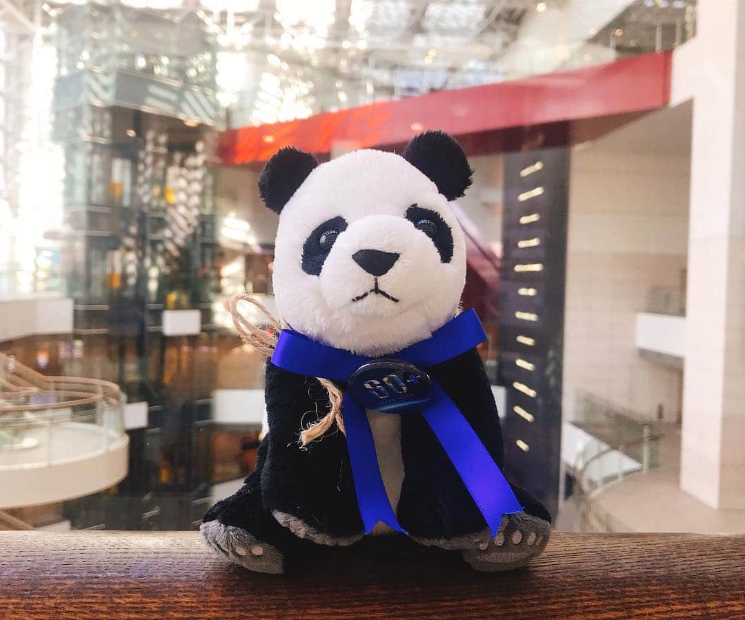 みなとみらい東急スクエアのグルメインスタ