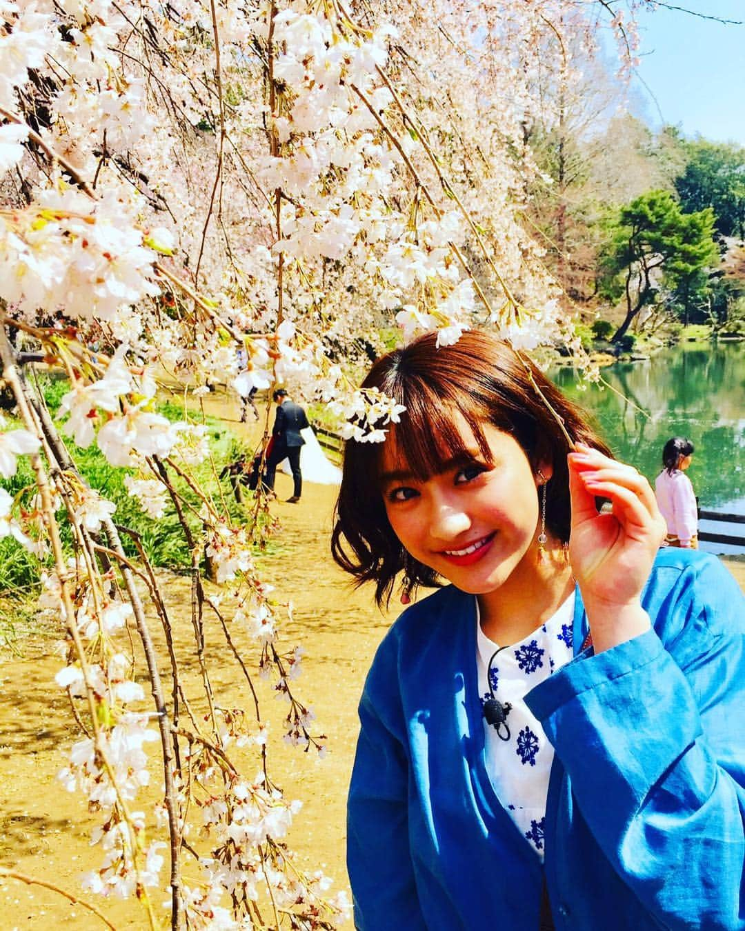 フジテレビ「もしもツアーズ」さんのインスタグラム写真 - (フジテレビ「もしもツアーズ」Instagram)「今週は‼️ 都内の桜ベスト10全て見せます‼️🌸❤️❤️ 出演者総勢10人の賑やかロケ❤️😋 🌸🌸🌸🌸🌸🌸🌸🌸🌸🌸🌸 ゲストは #小峠英二 さん #バイきんぐ #バイきんぐ小峠 週替わりメンバーは #kismyft2 #キスマイ #北山宏光 #ヒロミツ #千賀健永 #千ちゃん #宮田俊哉 #みやっち  #玉森裕太 #タマ #平祐奈 #祐奈ちゃん #もしもツアーズ #もしツア #桜 #春 #spring #cherryblossom #花見 #お花見 #夜桜 #さくら #花より団子 #三瓶です」3月28日 18時22分 - moshitsua_official