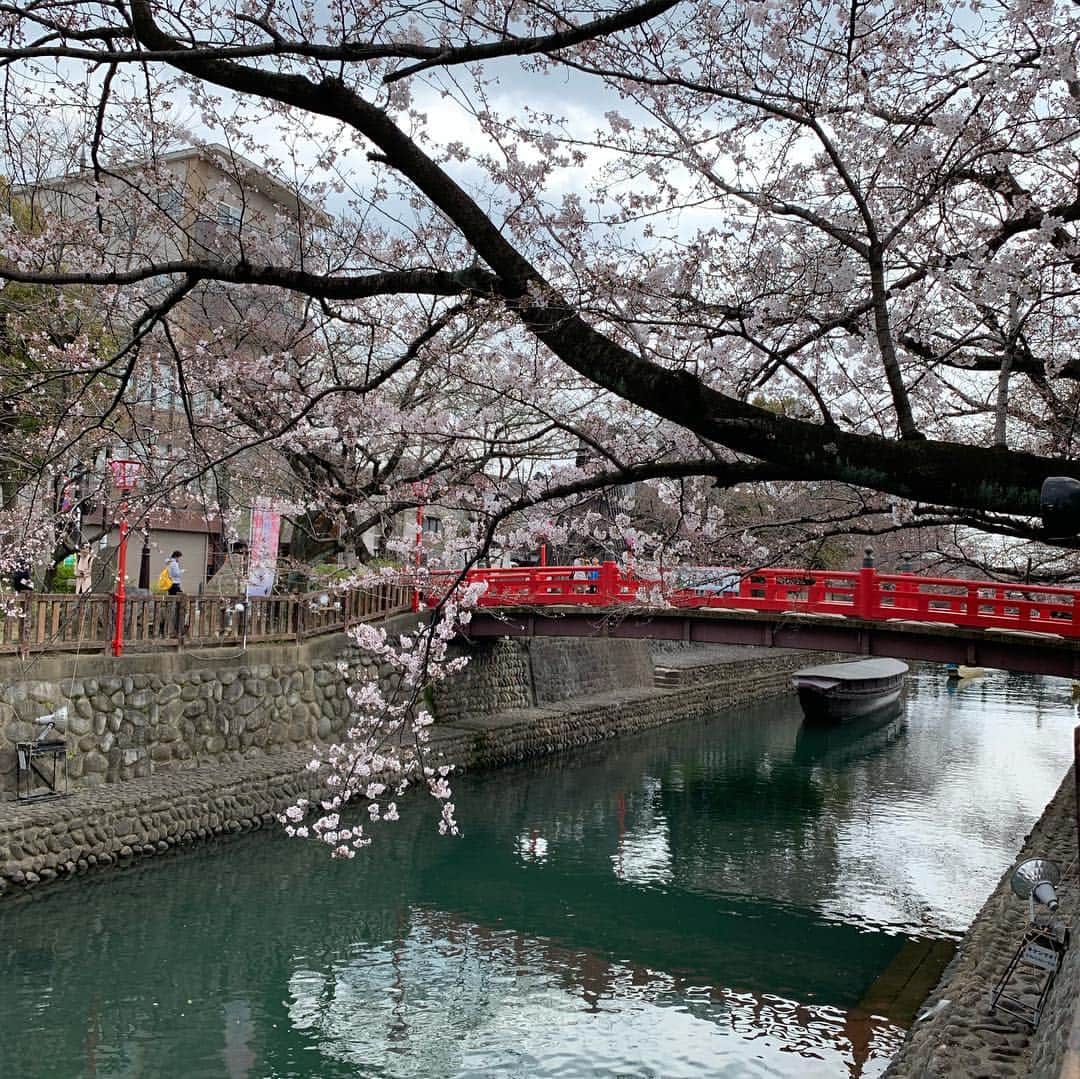 Yuka Mukaibayashiさんのインスタグラム写真 - (Yuka MukaibayashiInstagram)「桜、咲き始めましたね〜^ ^ . これから徐々に満開になるのが楽しみです♪ . 近くの「芭蕉の地記念館」でフードポーターズ始まってました！棚橋牧場さんのプリンです♡ . . . 身体を整え、コリや疲れもホッと楽に . ブログとホームページはこちら ご覧ください♪ . ✨esthe Ruang ブログ https://ameblo.jp/ruang-esthe . ✨esthe Ruang HP http://ruang.jimdo.com . #青空だと良かったな #プリン大好き #プリン党 #花よりだんご #エステるあん #大垣市  #ボディ #フェイシャル #プライベートサロン #完全予約制 #アンチエイジング #お客様の笑顔 #Ｏ2クラフト #ミレイ #高濃度酸素オイル #疲労回復 #小顔効果  #たるみ #疲れ #パワーレメディ #バランスリフト #肩こり #首こり #背中が重い #ボディメイク #リフトアップ #女子力アップ  #むくみ #スッキリ」3月28日 12時53分 - ruang2013510