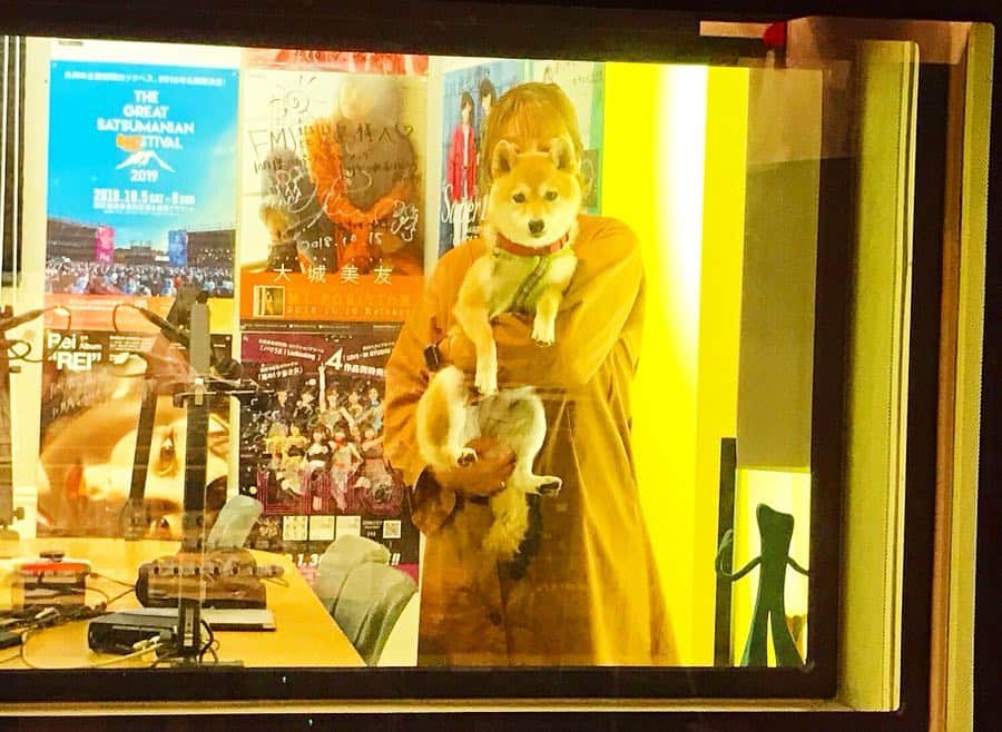 柴犬ハル&保護犬すずさんのインスタグラム写真 - (柴犬ハル&保護犬すずInstagram)「📻 Yesterday was radio 🌸 . 「おかーしゃーーんーー！ ラジオの収録楽しかったねー📻」 . FM鹿児島「前畠家のだれやめ」にお呼びいただきました🐕🥃 . @s_maehata さんと、 @macky_0625 さんの番組です🌸 . 4月7日（日）と、 4月14日（日）の放送です🥃🙆‍♀️ . マイペースなハルの様子が、 どう録音されているのかとても楽しみです😘 . ぜひきいてくださーい❤️ . #県外の方はアプリのradikoで聴けますよ #ラジオのスタジオかっこよかった！ #ハルたくさん遊んでもらったよ！ #ジャーキーももらったよ❤️ . #柴犬#柴#kagoshima#dog#puppy#shibainu#family#鹿児島#赤柴#雑種#天文館#日本犬#保護犬を家族に#ラジオ#radio」3月28日 13時27分 - haruharu040777