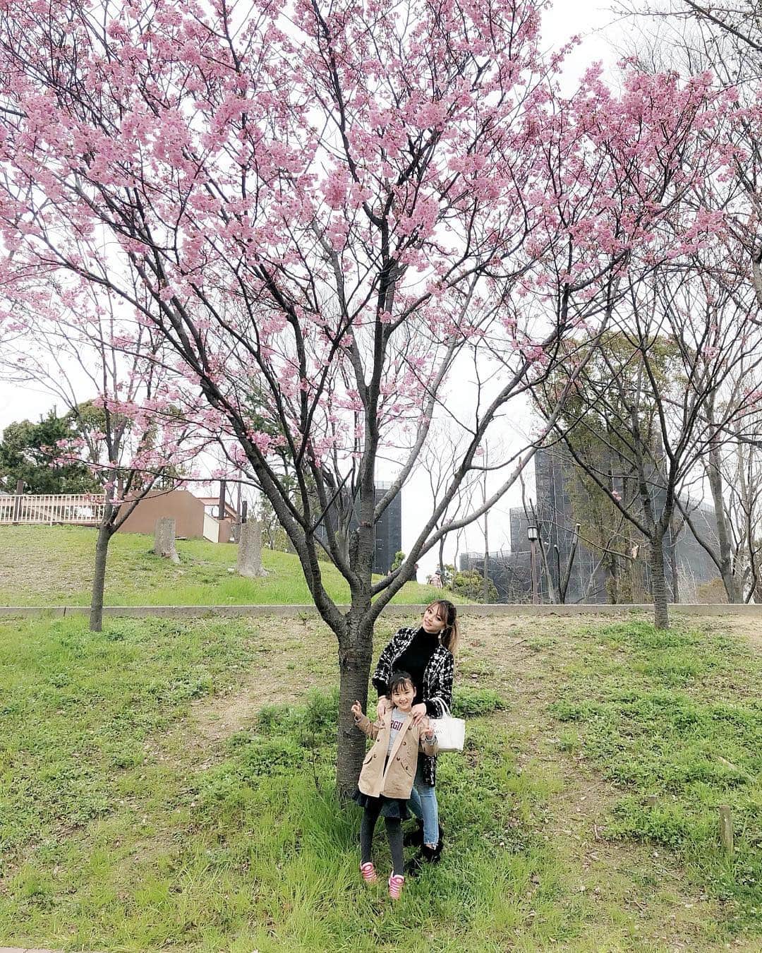 森本あやかさんのインスタグラム写真 - (森本あやかInstagram)「おひめと少し早いけどお花見🌸﻿ 天保山公園は、桜咲いてたで〜✨﻿ ﻿ 桜大好きやから﻿ 色んなところにお花見行きたい✨﻿ ﻿ 子連れのお出かけは荷物が多くなるし﻿ 「歩くの嫌〜😭💦抱っこ〜」とかなにかと大変。﻿ ﻿ そこで、めっちゃ便利でおすすめなのが﻿ タクシー配車アプリ「DiDi」﻿ ﻿ アプリを起動して、迎えに来て欲しいところを登録❣️﻿ 住所入力でもいいし﻿ アプリマップ上でタップしても大丈夫👆﻿ ﻿ 次に行き先を入力したら、配車完了🙌﻿ ﻿ 行き先を先に入力してあるから﻿ 乗車した時に道を伝えなくてもいいし﻿ 何よりクレジットカードを事前に登録してたら﻿ アプリ決済が可能やからキャッシュレス❣️﻿ ﻿ ほんまにめっちゃ楽やから﻿ もっと早くに知りたかった〜😂😂﻿ ﻿ ﻿ 今、キャンペーン中で﻿ 「DiDiでタクるとおトクな春！」﻿ 3/25～28まで乗車料金15％オフ❗️﻿ 3/29、3/30、3/31は乗車料金30％オフ‼️﻿ ﻿ 3/25～3/31までTwitterキャンペーンも実施中👆﻿ 抽選で1名に豪華景品と﻿ DiDi乗車クーポン1,000円が当たるんやって😀﻿ ﻿ 大阪限定で初回登録2500円クーポンもあるから﻿ タクシー乗る人は使ってみてね🚕﻿ ﻿ 大阪と東京都心部でもでも使える1500円分クーポンがGET出来るから使ってみて🙌﻿ クーポンコード「PB22GR8H」﻿ ﻿ #DiDiタクシー #ディディ #タクシーがおトクに #子供との移動がラクラク #お花見 #子連れ #タクシー #めっちゃおすすめ」3月28日 13時32分 - ayachi0120