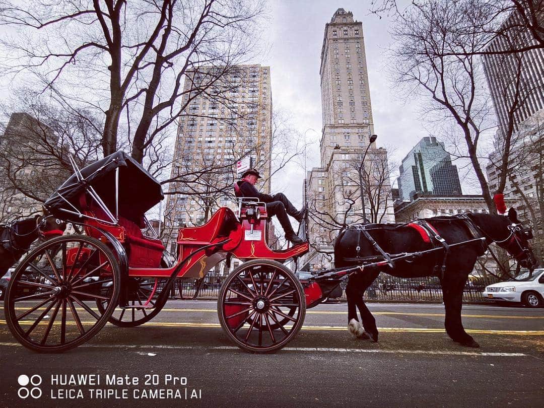 ポール・ソリアーノのインスタグラム：「The best way to see Central Park is on horse carriage. #HuaweiMate20PH #AHigherIntelligence」