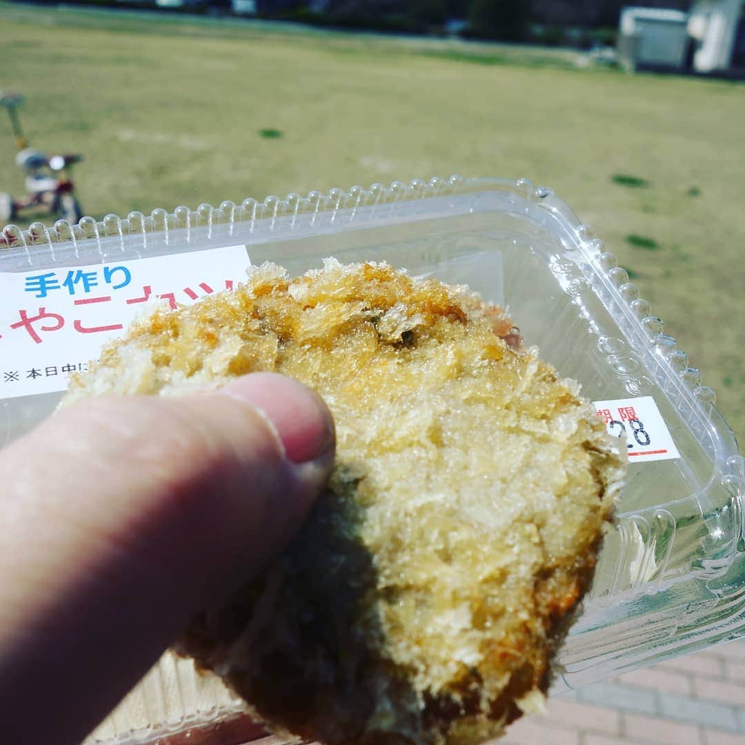 松本隆博のインスタグラム：「。 三崎港にて、ジャコカツ 食す(^^)/うまーい。 ここからフェリー乗って 約1時間で大分県に着きます。 …この御夫婦が羨ましい。 同じセーター着てさ、 ガイドブック見ながら楽しそう 平日旅ってサイコーだよねー。 なんかのんびり。 ヽ(^o^)丿。」