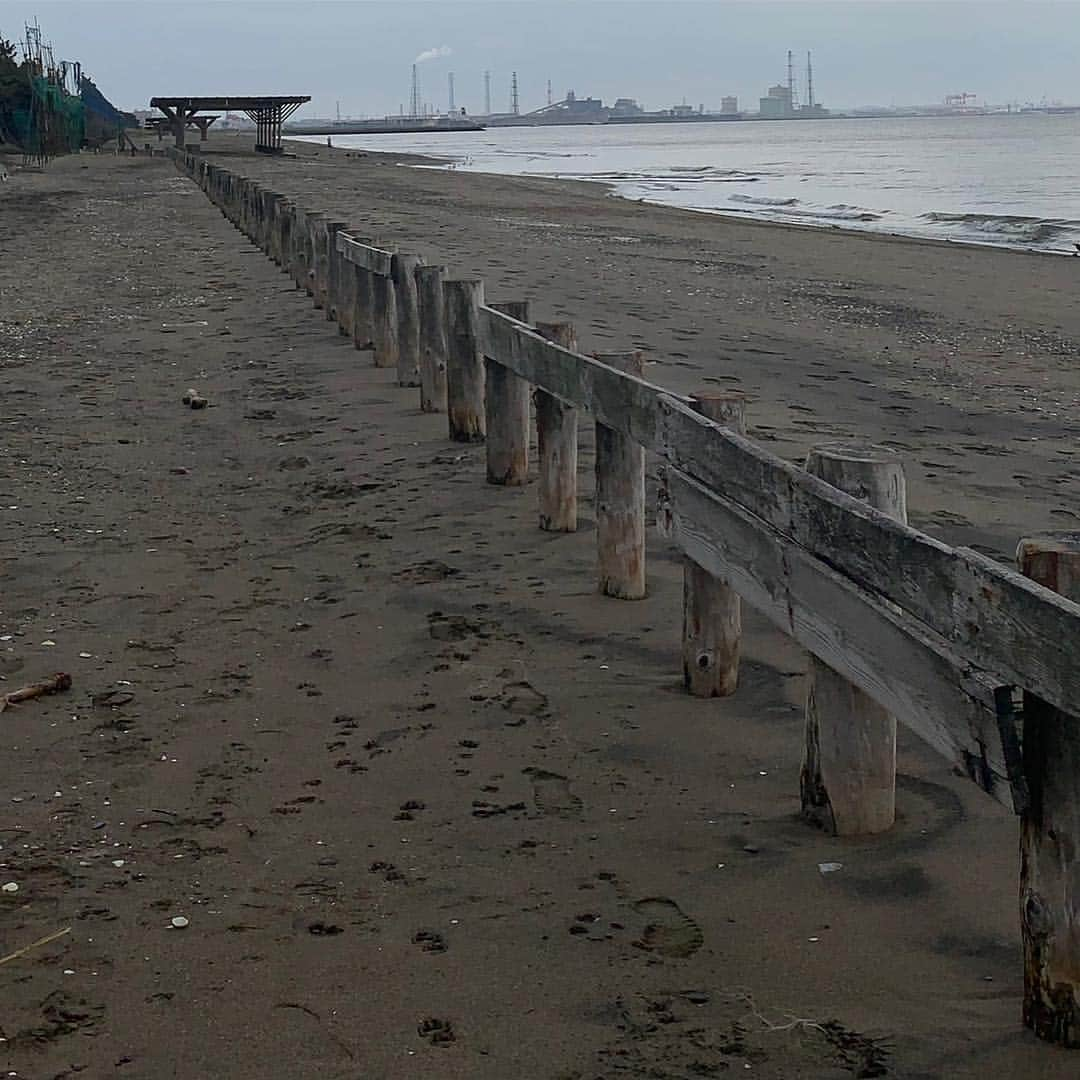 一三さんのインスタグラム写真 - (一三Instagram)「今年最初の海水浴。  寒…🥶 #海水浴 #砂浜 #beach #海 #sea #東京湾 #千葉 #chiba #稲毛」3月28日 14時36分 - ichizou.co.jp