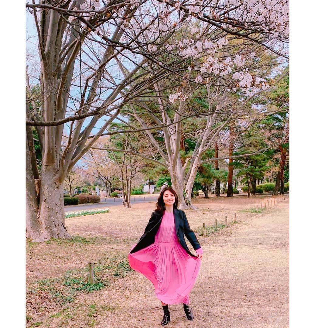 田中麗奈さんのインスタグラム写真 - (田中麗奈Instagram)「桜🌸満開✨ 麗らかな午後🌸」3月28日 14時46分 - renatanaka07