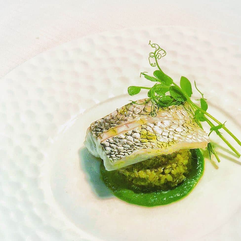 リストランテ カノビアーノ福岡のグルメインスタ