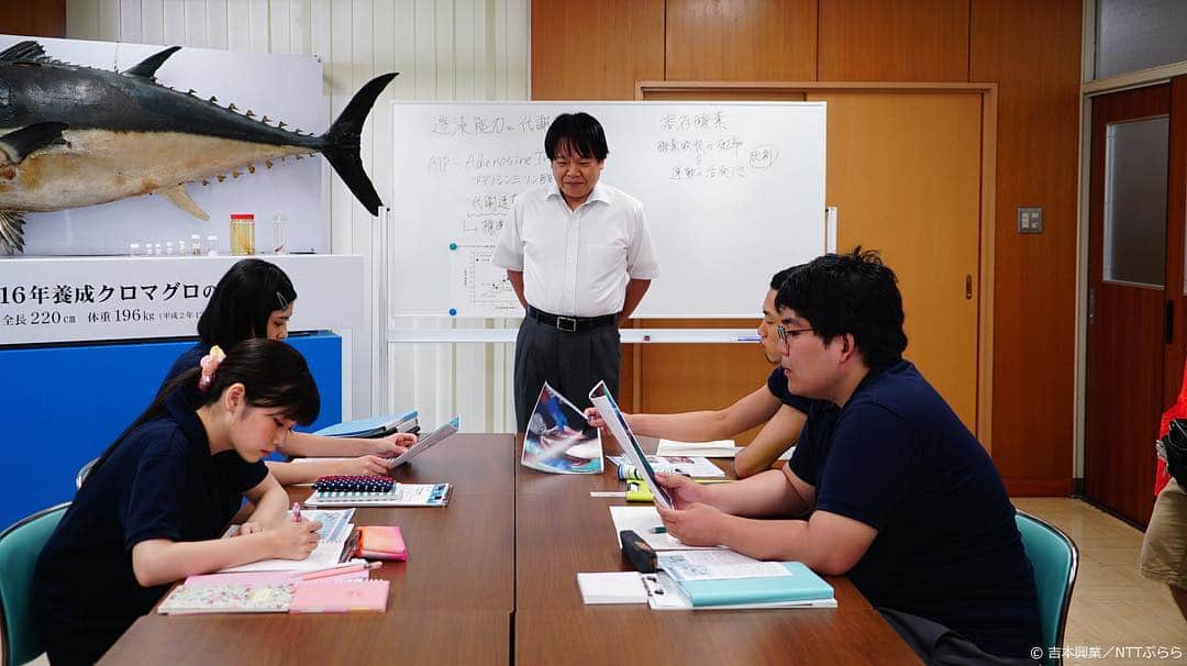 近畿大学総務部広報室さんのインスタグラム写真 - (近畿大学総務部広報室Instagram)「本日3月28日(木)から、近畿大学水産研究所を舞台にしたスペシャルドラマ 「TUNA(ツナ)ガール 」が、#ひかりTV と #大阪チャンネル で配信されます！  クロマグロの完全養殖を成し遂げた近畿大学水産研究所を舞台に、研究に情熱を注ぎ将来に走り出す「今の若者たち」。和歌山県の串本町を舞台に元気いっぱいのヒロインが、地味ながらも熱い研究所での合宿を通して成長していく姿を描いています。 主演は、人気沸騰中の小芝風花さん(@fuka_koshiba_official )！ 近畿大学水産研究所の教授役にはほっしゃんこと星田英利(@hosshyan)さんが！藤田富さん(@tomfujita)、金井浩人さん、遊佐亮介さん(@yusa_shi)、田中珠里さん(@tanaka_shuri_official )などが個性豊かな研究所メンバーを演じ、マグロ娘の物語を明るく彩ります🐟 (本学OB #升毅 さんも友情主演✨) また、本学OB つんく♂氏が書き下ろした主題歌「無理かもって思ったら  それより先に進めない」を、fumika with KINDAI GIRLSが華やかに歌いあげています🎵  是非ご覧ください👀！ #近畿大学 #近大 #kindai #近畿大学水産研究所 #NTTぷらら #吉本興業株式会社 #TUNAガール #マグロ #和歌山  #つんく♂ #升毅 #小芝風花 #星田英利 #藤田富 #金井浩人 #遊佐亮介 #田中珠里 #fumika #KINDAIGIRLS #見てね  #tunagirl #bluefin #tuna #japanesedrama #wakayama」3月28日 15時09分 - kindaiuniversity