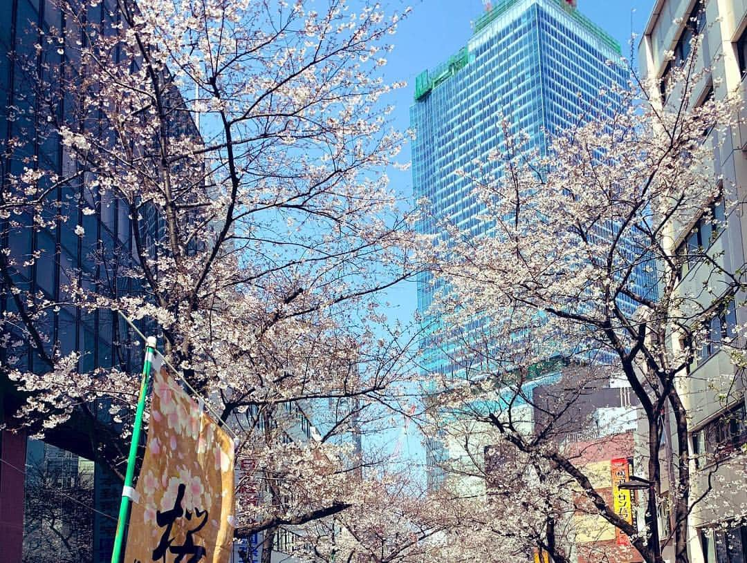 中村愛さんのインスタグラム写真 - (中村愛Instagram)「🌸♡ ・ ・ ・ とりあえず載せておく！ #桜 #中目黒 #渋谷 友達とお花見を来週やる予定🌸なんだけど、もう散ってしまうかなぁ💦⁉️ どうでしょう〜 とりあえず今日もチャリで散策しながら仕事に向かう〜❣️ #花より団子 #花より男子」3月28日 15時47分 - nakamuramura_ai