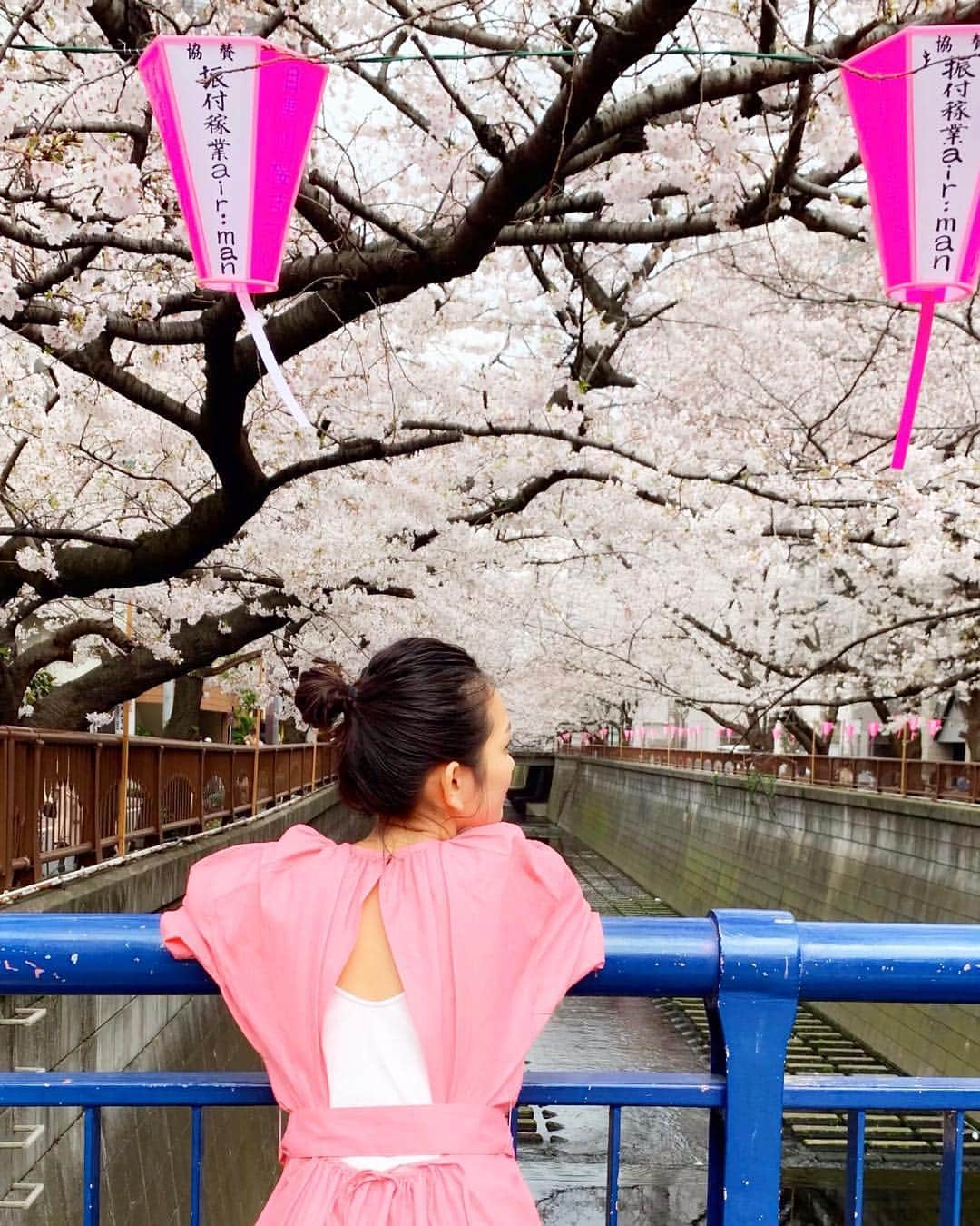 武智志穂さんのインスタグラム写真 - (武智志穂Instagram)「🌸🌸🌸🌸🌸🌸 ‌ #目黒川 #中目黒 #桜並木」3月28日 16時25分 - shiho_takechi