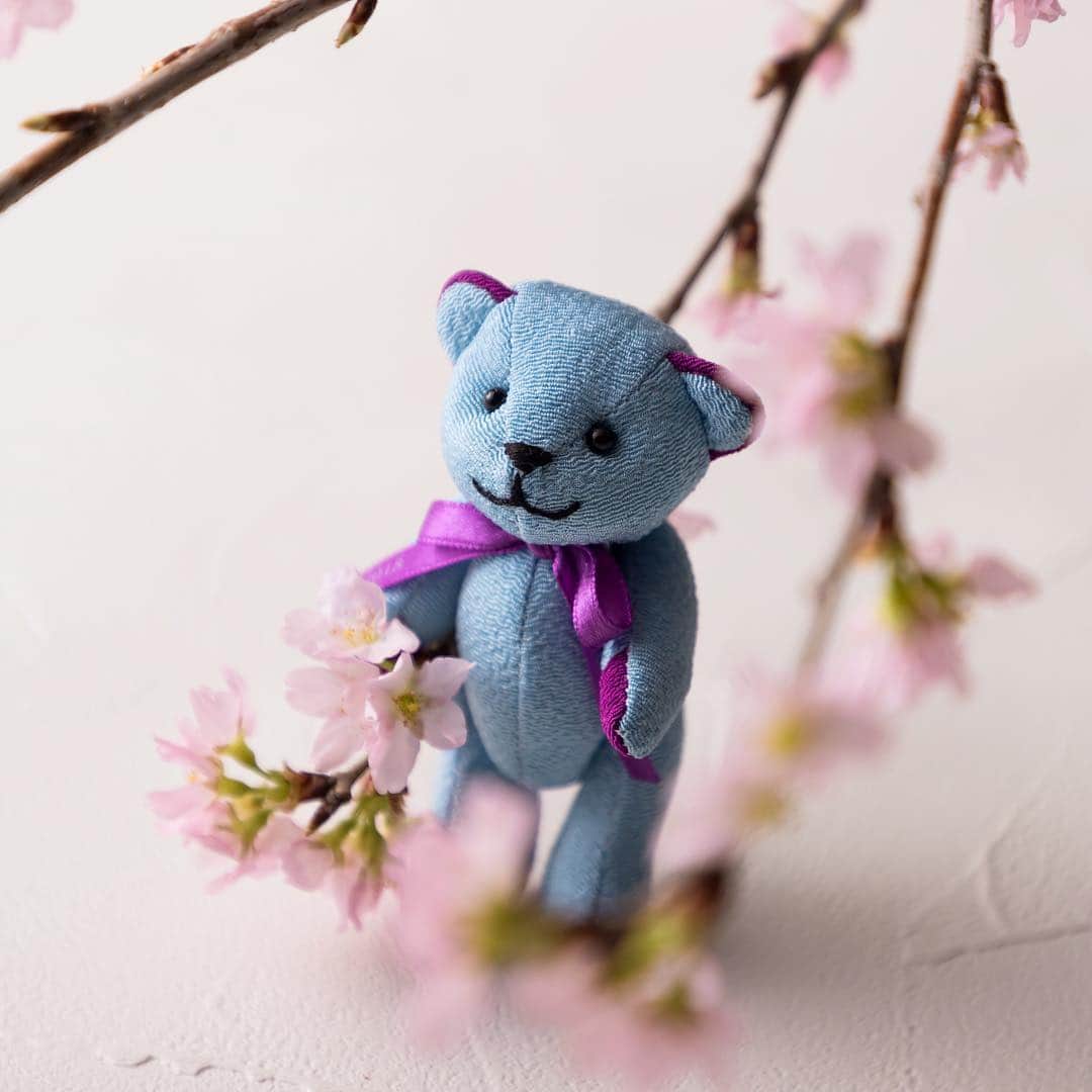 Conrad Osakaさんのインスタグラム写真 - (Conrad OsakaInstagram)「Spring is in the air...🌸 すっかり春めいてきました。 === #コンラッド大阪 #さくら #コンラッドベア #大阪 #花見 #sakura #osaka #cherryblossom #japan #conradosaka #stayinspired」3月28日 16時28分 - conradosaka