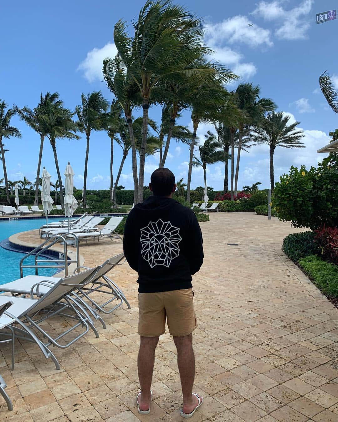 Black Jaguar-White Tiger さんのインスタグラム写真 - (Black Jaguar-White Tiger Instagram)「Our light hoodies are perfect for this super windy Miami weather hahahahah  Oh, and @djjohndigweed is playing tonight, regardless of what that Tiesto flyer is saying :) #Miami #SupportTheMusic @djjohndigweed」3月29日 2時00分 - blackjaguarwhitetiger