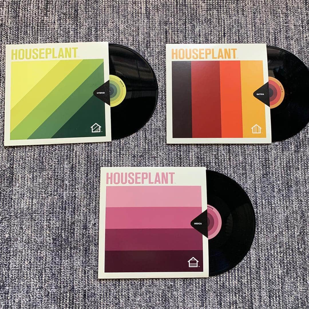 セス・ローゲンさんのインスタグラム写真 - (セス・ローゲンInstagram)「We made Houseplant LPs, each with a strain specific mix of songs. The Sativa LP is full of upbeat music, the Indica LP is super mellow, and the Hybrid LP is right in the middle.」3月29日 2時09分 - sethrogen