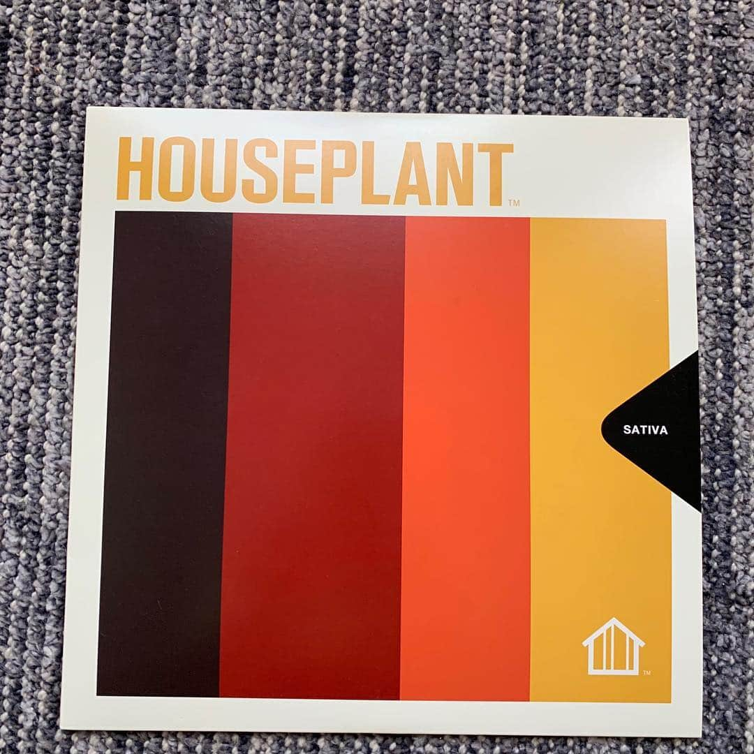 セス・ローゲンさんのインスタグラム写真 - (セス・ローゲンInstagram)「We made Houseplant LPs, each with a strain specific mix of songs. The Sativa LP is full of upbeat music, the Indica LP is super mellow, and the Hybrid LP is right in the middle.」3月29日 2時09分 - sethrogen