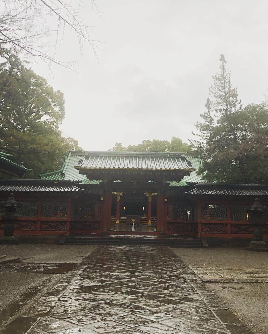 SHOCK EYEさんのインスタグラム写真 - (SHOCK EYEInstagram)「雨の根津神社はとても神秘的でした✨ とくに境内にある左右から社殿に向けて小振りな真っ赤な鳥居が続く乙女稲荷神社が素敵でなんだか好きでした😆 雨の日はとくに空気が澄んでいて、ほんのり木の香りもしてきて、大雨じゃなければ、神社参拝、意外とおススメだよ👍 #根津神社 #乙女稲荷神社 #東京十社 #shrine #shintoshrine #nezushrine #tokyo #japan #inarishrine」3月29日 3時22分 - shockeye_official