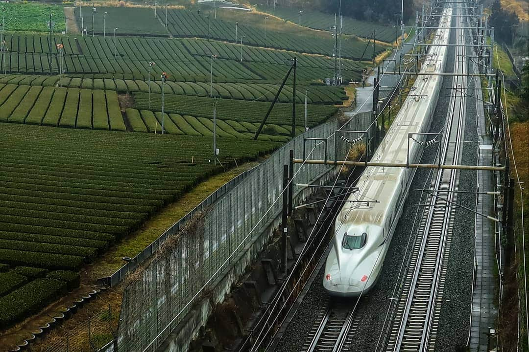 Canon Asiaさんのインスタグラム写真 - (Canon AsiaInstagram)「Fast vs slow: The slow countryside life 🌳and a speeding bullet train 🚅 are captured in a single shot by Safuan from Malaysia, the grand winner of our Canon PhotoMarathon Asia Championship 2019 🎉. Joining him in the top 3 in the next photo are William from Hong Kong (left) and Luke from the Philippines (right). 👏Congratulations to our winners and all participants for completing the challenge! We hope everyone had a memorable and fruitful experience. Photos were shot using EOS R  #cpmc2019 . . Follow the social media accounts of your local Canon office or authorised distributor for news of upcoming PhotoMarathons in your country so you can join in the experience! #canon #canonasia #canoneosr #mirrorlesscamera #japan #shizuoka #travelphotography #canonphotography #photography #photochallenge」3月28日 18時28分 - canonasia