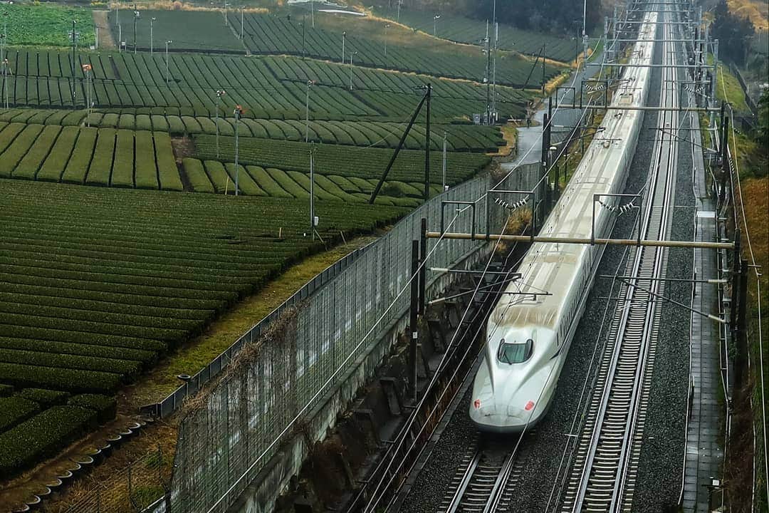 Canon Asiaのインスタグラム：「Fast vs slow: The slow countryside life 🌳and a speeding bullet train 🚅 are captured in a single shot by Safuan from Malaysia, the grand winner of our Canon PhotoMarathon Asia Championship 2019 🎉. Joining him in the top 3 in the next photo are William from Hong Kong (left) and Luke from the Philippines (right). 👏Congratulations to our winners and all participants for completing the challenge! We hope everyone had a memorable and fruitful experience. Photos were shot using EOS R  #cpmc2019 . . Follow the social media accounts of your local Canon office or authorised distributor for news of upcoming PhotoMarathons in your country so you can join in the experience! #canon #canonasia #canoneosr #mirrorlesscamera #japan #shizuoka #travelphotography #canonphotography #photography #photochallenge」