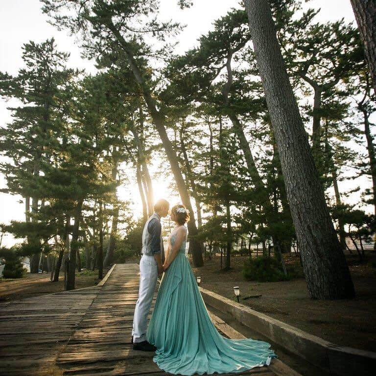 指帆亭のグルメインスタ