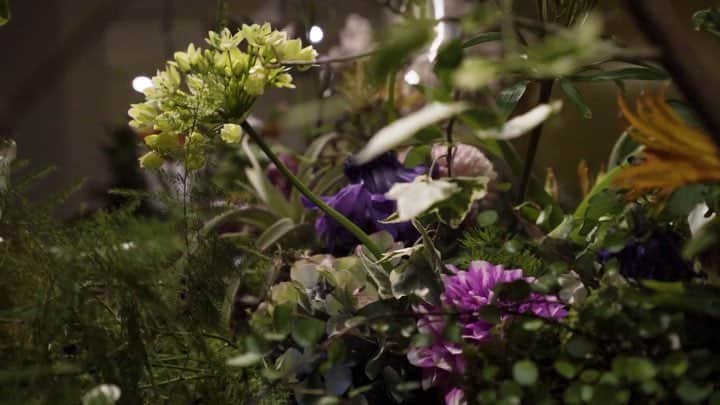 hotelgraphynezuのグルメインスタ