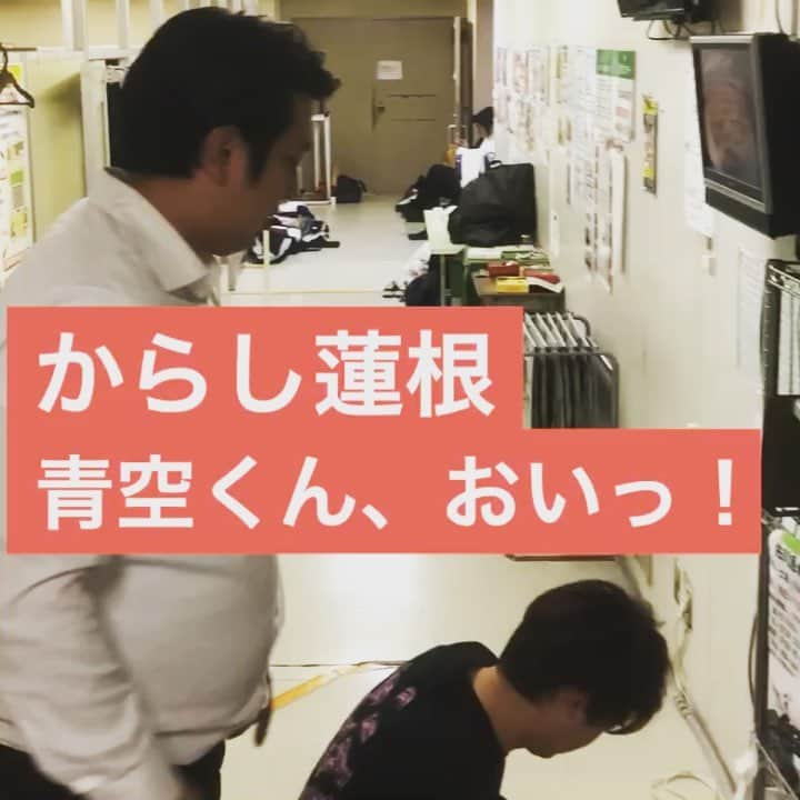 実方孝生のインスタグラム：「レインボー実方 今日の『おいっっ！！』 33日目 からし蓮根 青空くん、おいっ！  #レインボー  #織田裕二 #モノマネ #踊る大捜査線 #お金がない #ネタパレ #ジャンボ #細かすぎて伝わらないモノマネ  #レインボー実方 #レインボー池田 #今日のおいっ #からし蓮根 #からし蓮根 青空くん #からし蓮根 伊織くん撮影」