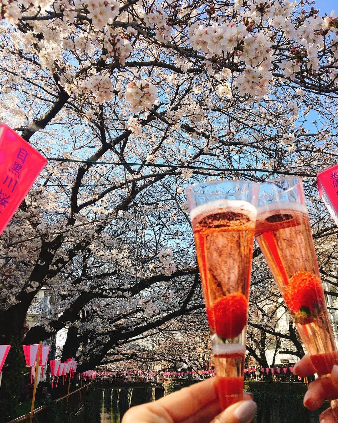 佐藤千晶さんのインスタグラム写真 - (佐藤千晶Instagram)「桜に魅せられる季節。  桜を愛でながら食べたりのんだりも すき。  #桜 #cherryblossom  #お花見 #tokyo #玉こんにゃく #山形の玉こん #中津からあげ も食べた #もちろんお酒もいただきました💓」3月28日 18時56分 - satochiaki125