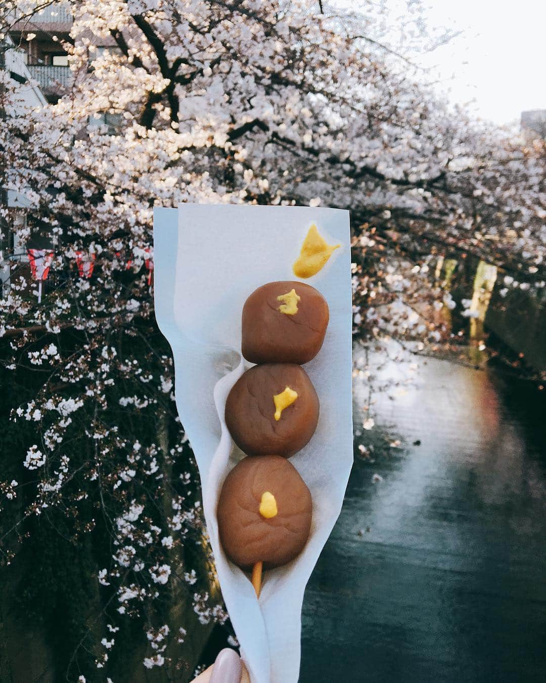 佐藤千晶さんのインスタグラム写真 - (佐藤千晶Instagram)「桜に魅せられる季節。  桜を愛でながら食べたりのんだりも すき。  #桜 #cherryblossom  #お花見 #tokyo #玉こんにゃく #山形の玉こん #中津からあげ も食べた #もちろんお酒もいただきました💓」3月28日 18時56分 - satochiaki125