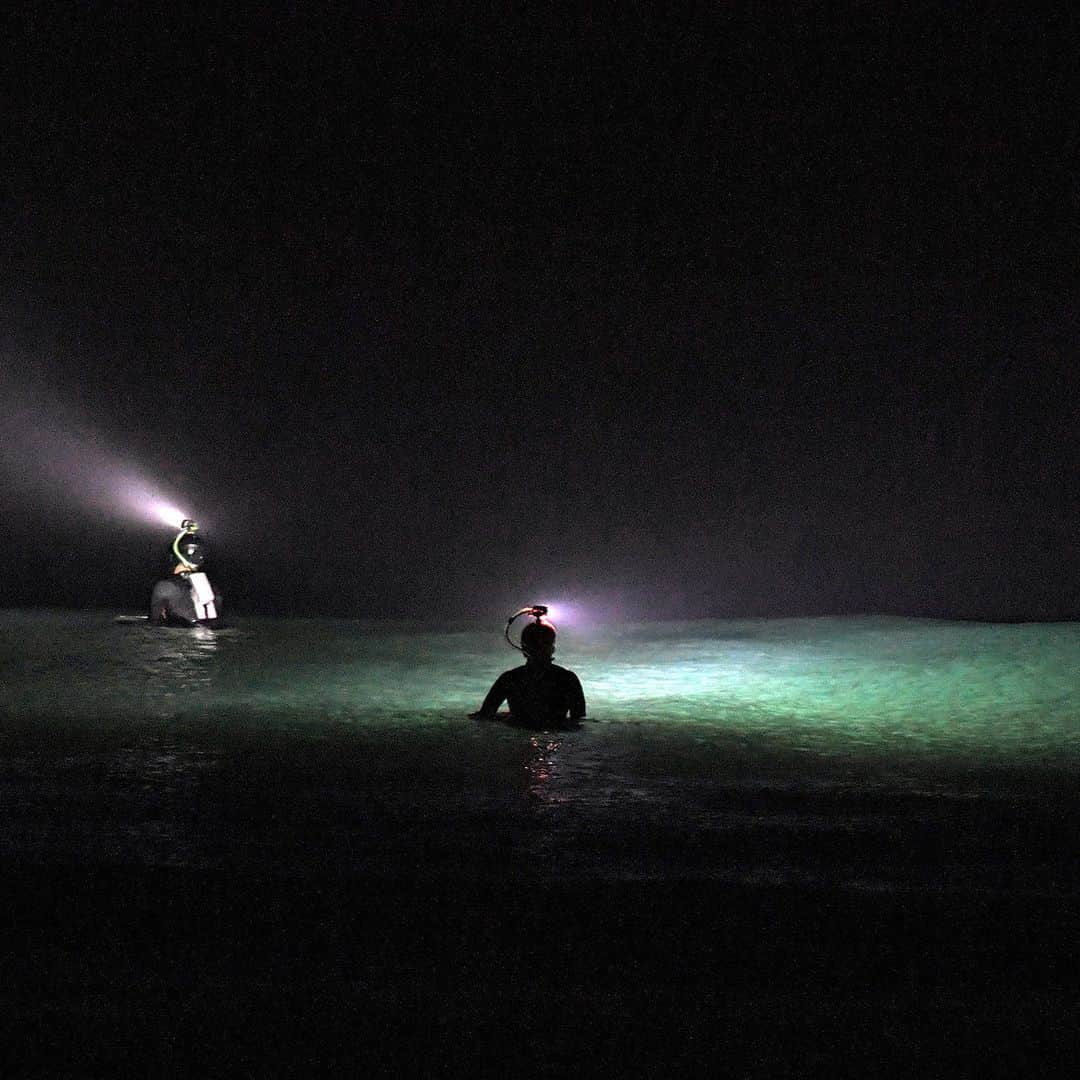 AFP通信さんのインスタグラム写真 - (AFP通信Instagram)「AFP Photo 📷 @loicvenance - In Brittany, night surfers light up the waves -  #Surf #NightSurf」3月28日 18時58分 - afpphoto